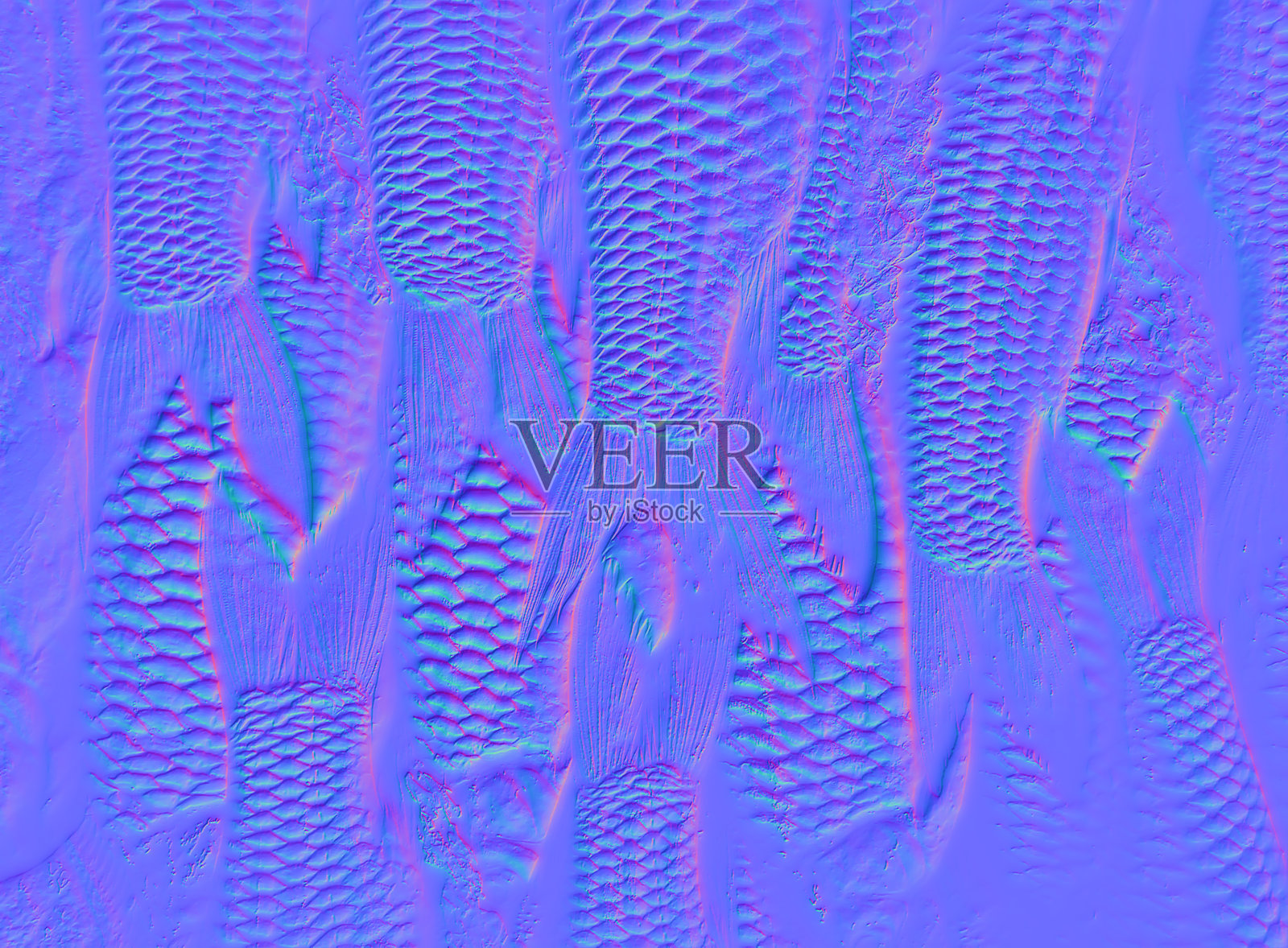 插图照片摄影图片