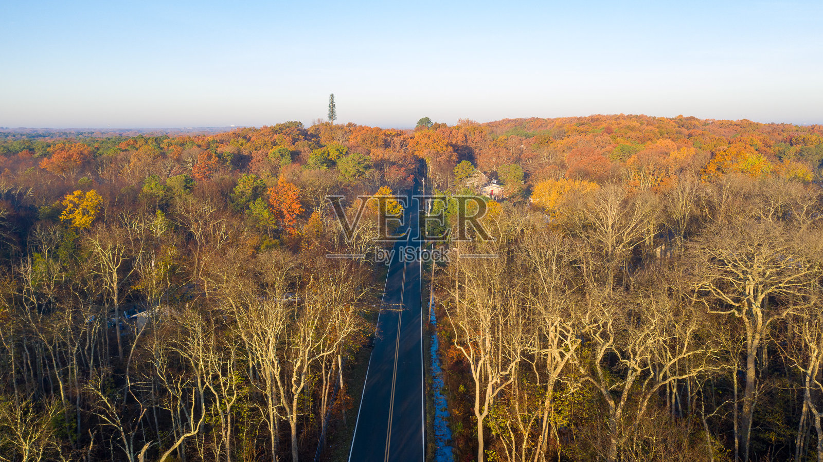 秋天树叶照片摄影图片