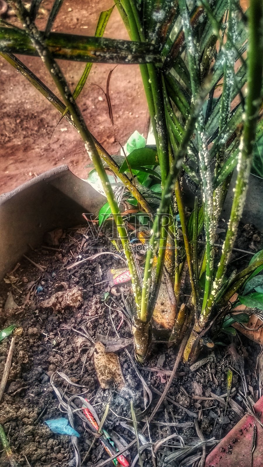 不整洁的工厂照片摄影图片