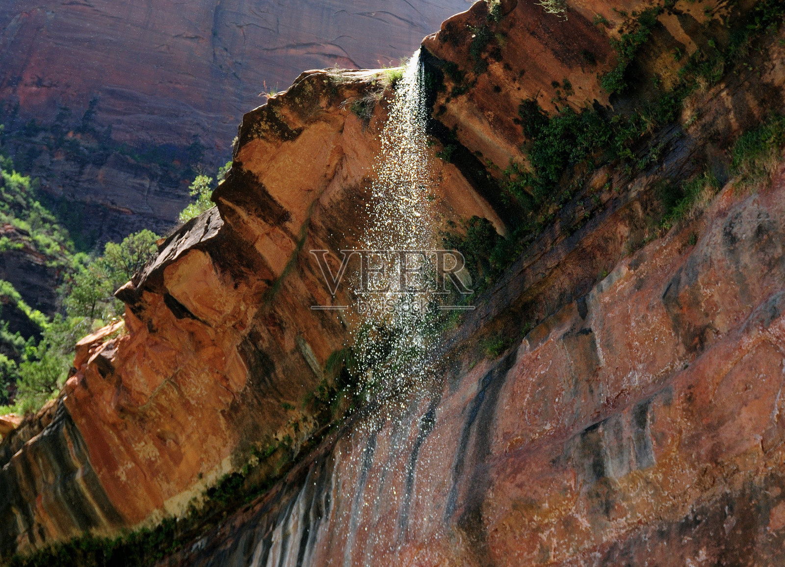 从下向上的视图涓涓细流从下翡翠池在锡安国家公园在一个晴朗的夏天与晴朗的蓝天和几云照片摄影图片