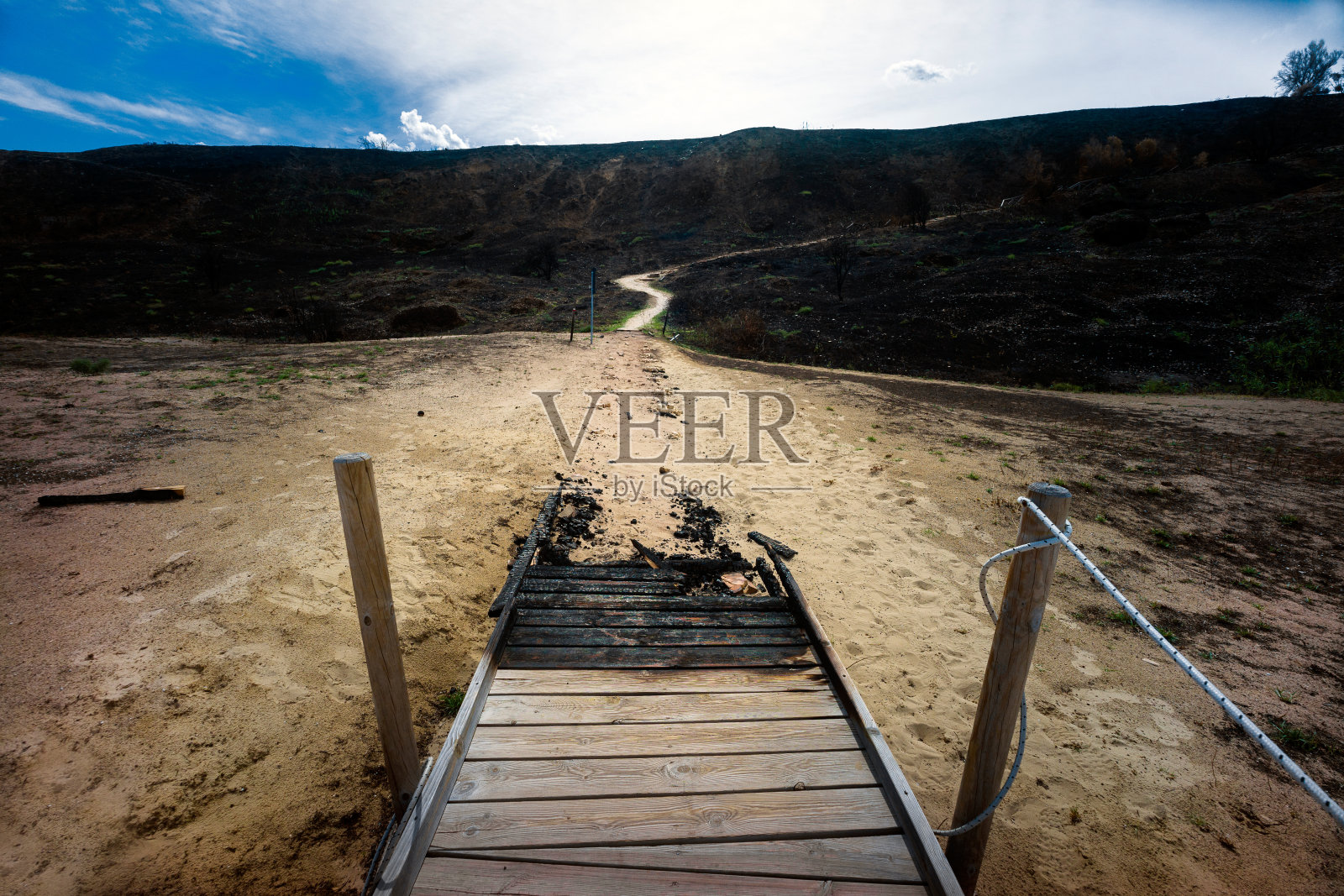 自然保护区照片摄影图片