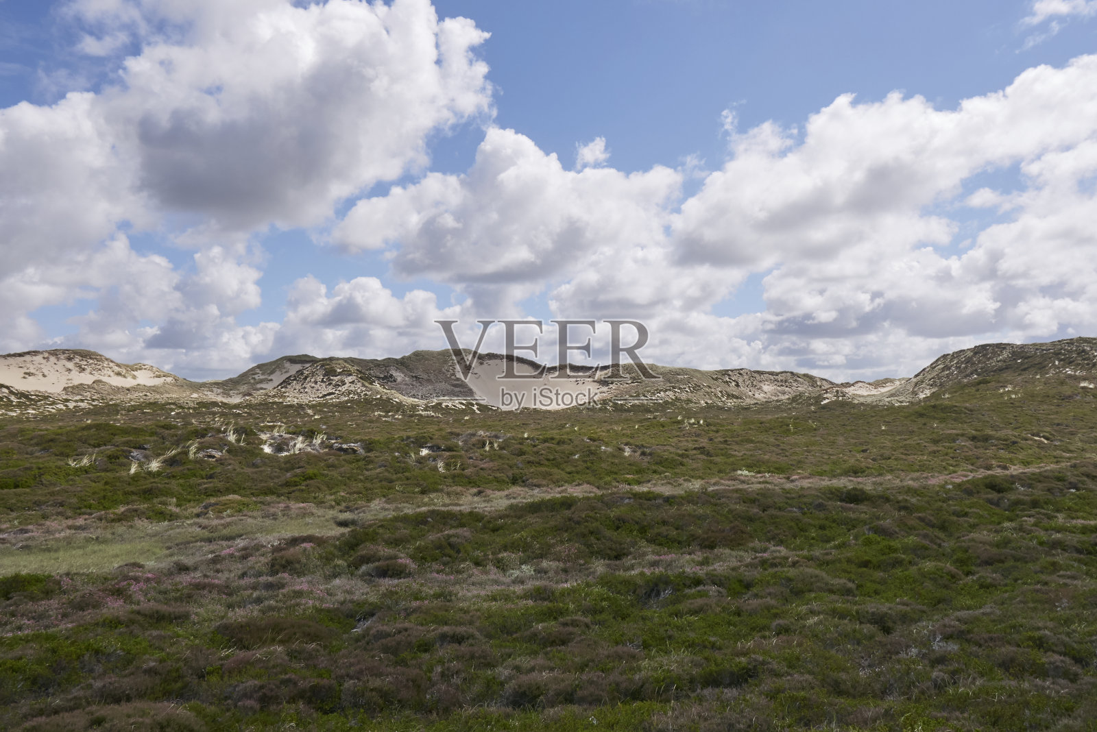 列表照片摄影图片