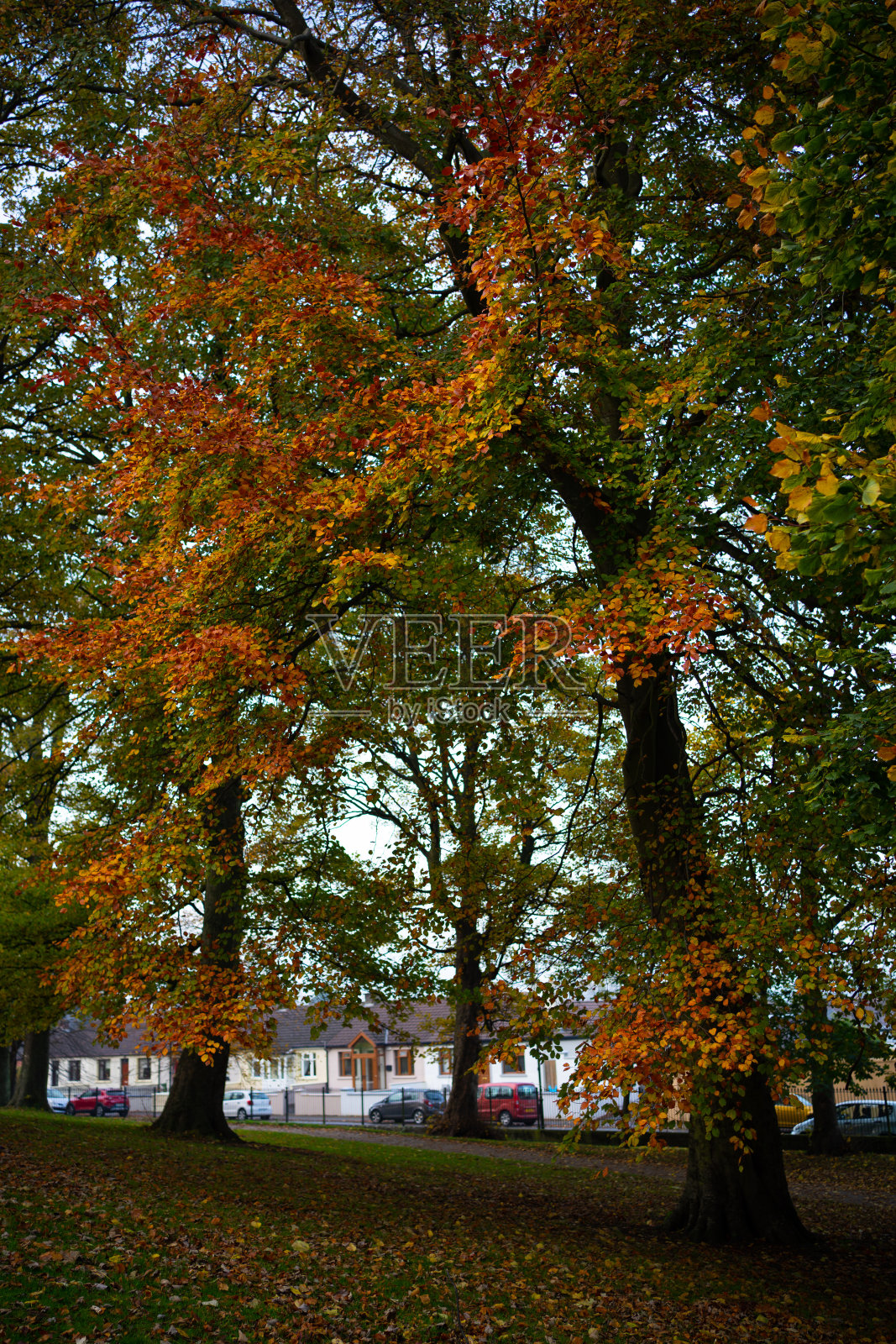 登多克冰屋山公园照片摄影图片