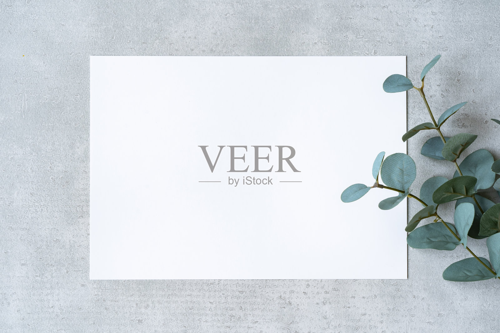 放在混凝土平面上的白纸照片摄影图片