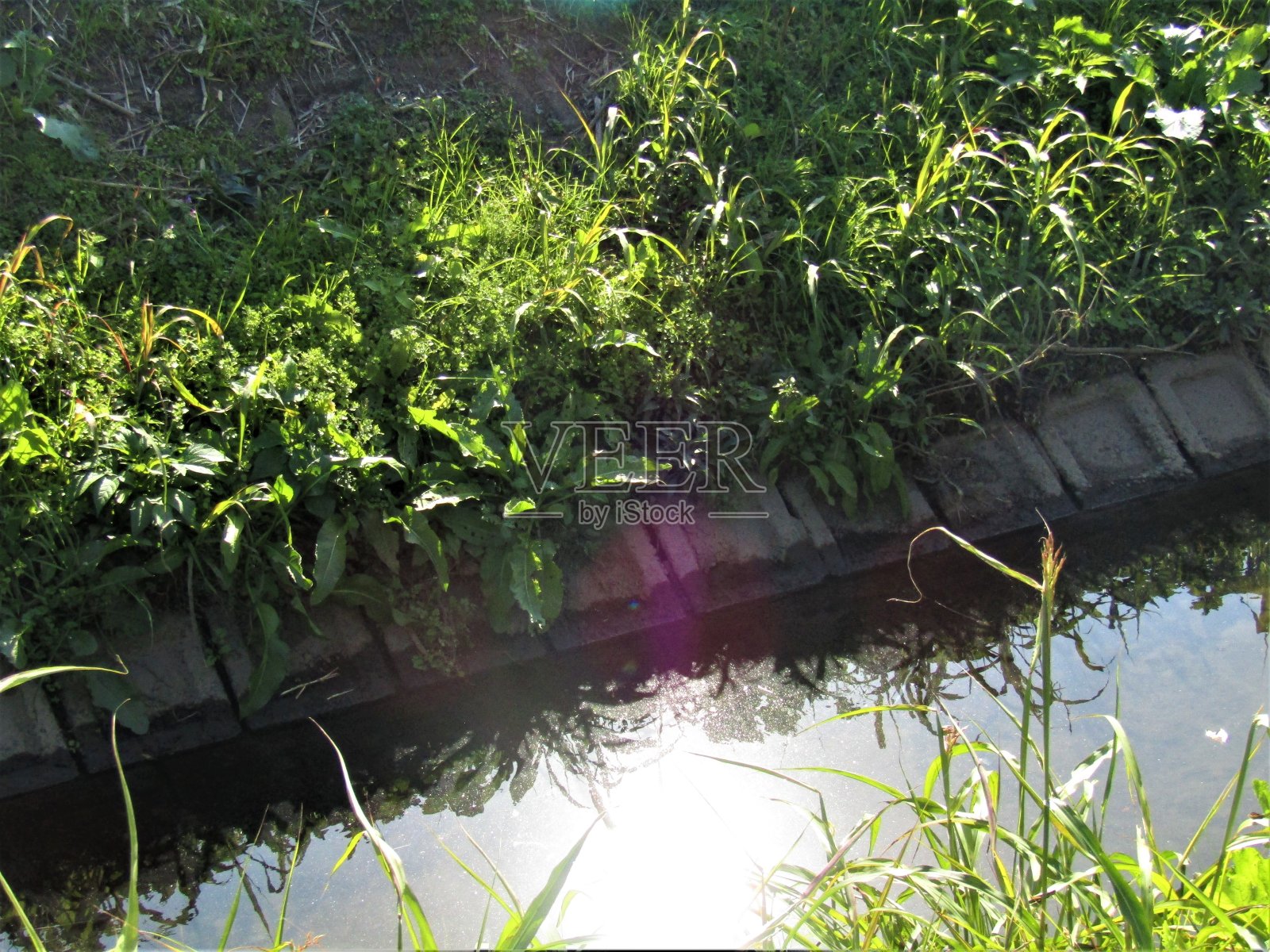 日本。11月的一个晴朗的日子。太阳在小河面上嬉戏。照片摄影图片