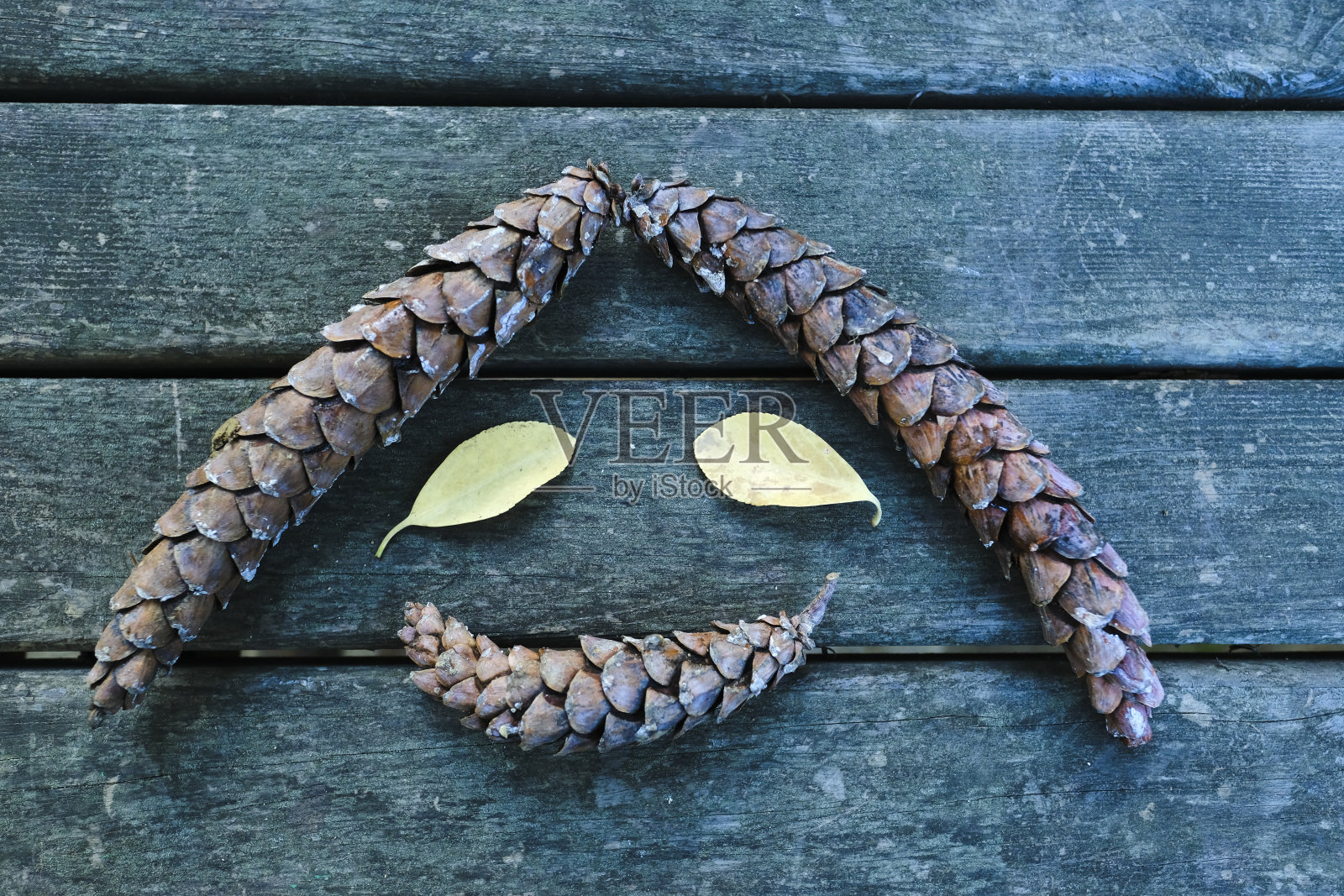 头顶上蓝色木桌上的松果和树叶拍摄了一张悲伤的脸照片摄影图片