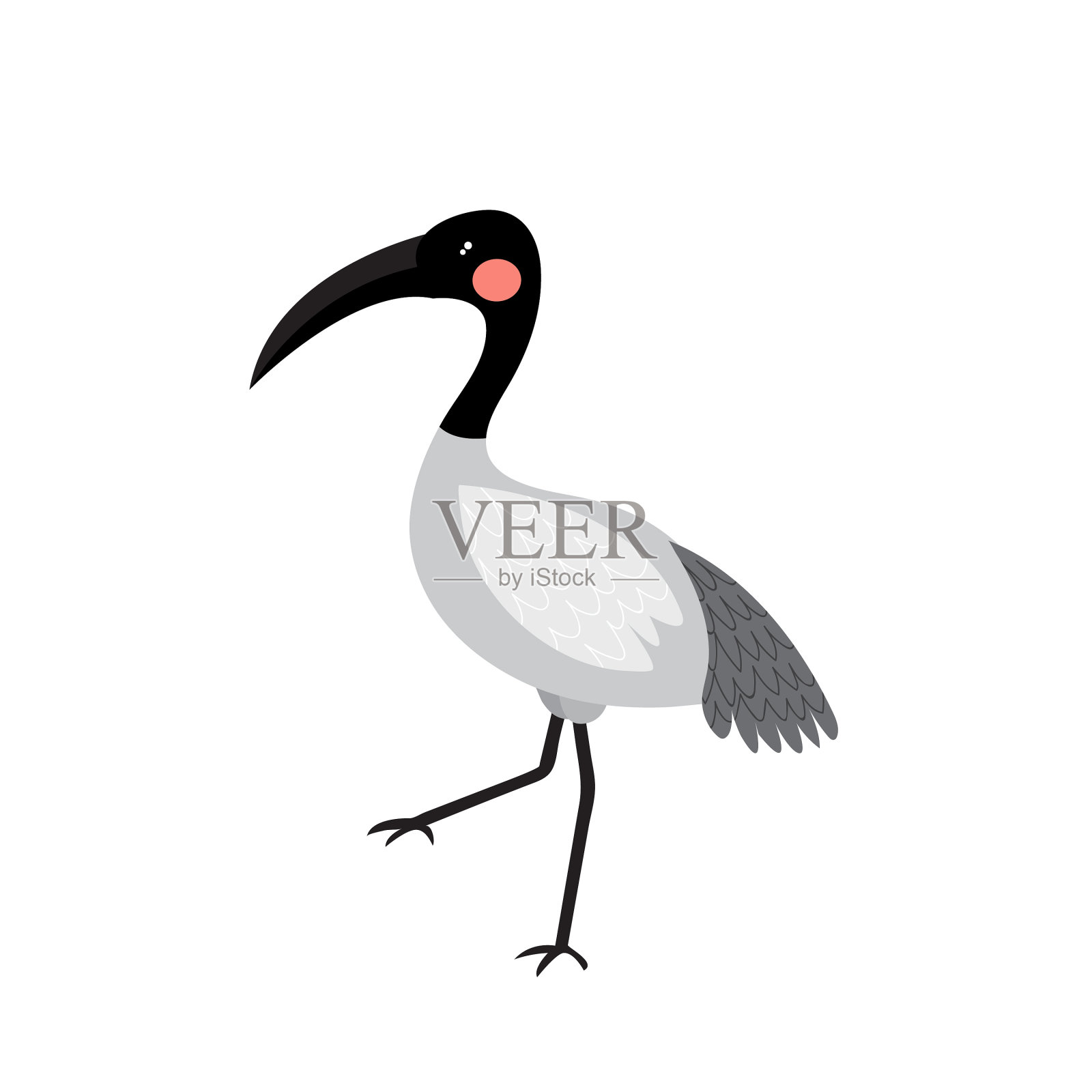 朱鹭鸟动物卡通人物插画图片素材