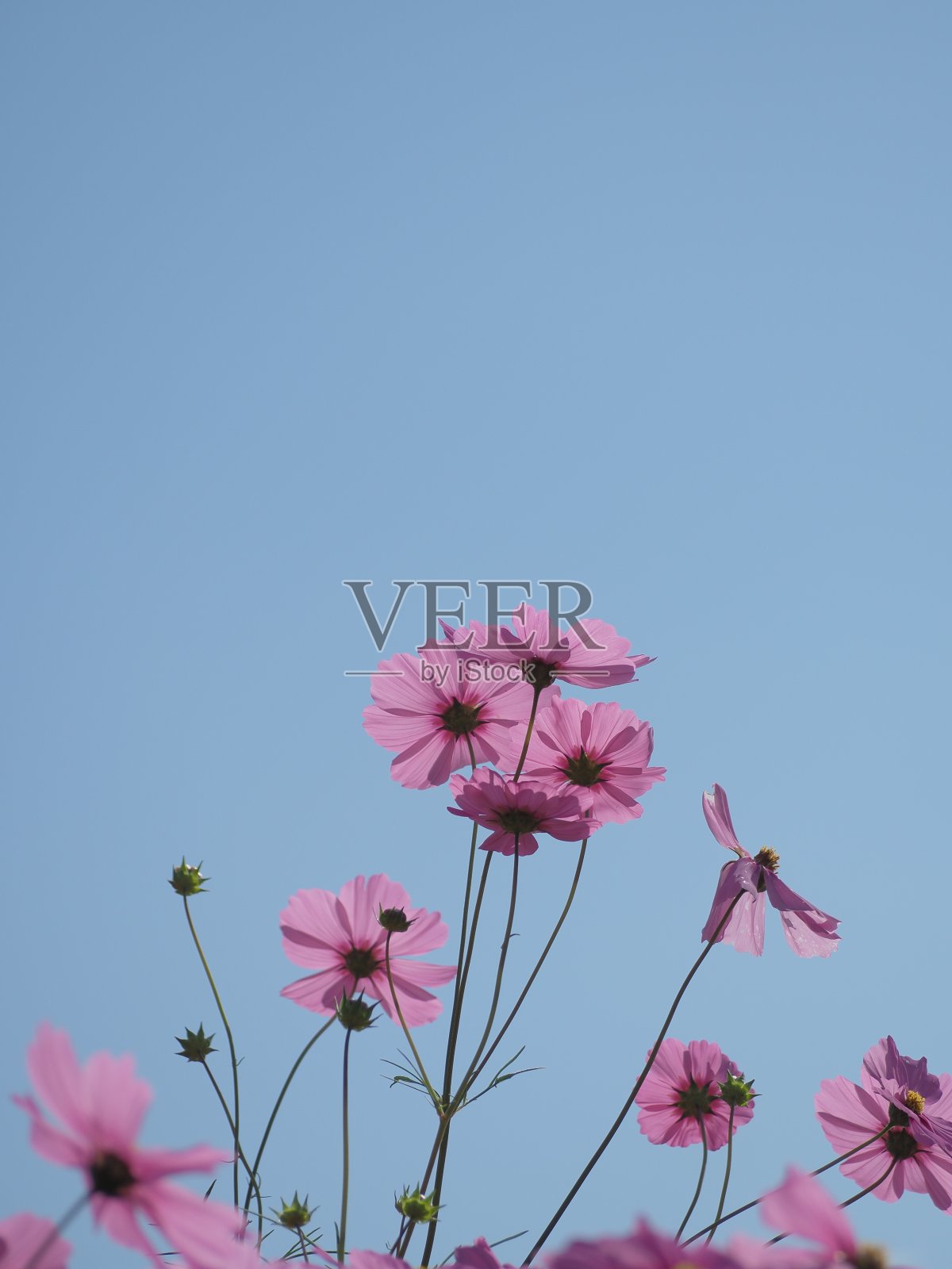 宇宙照片摄影图片