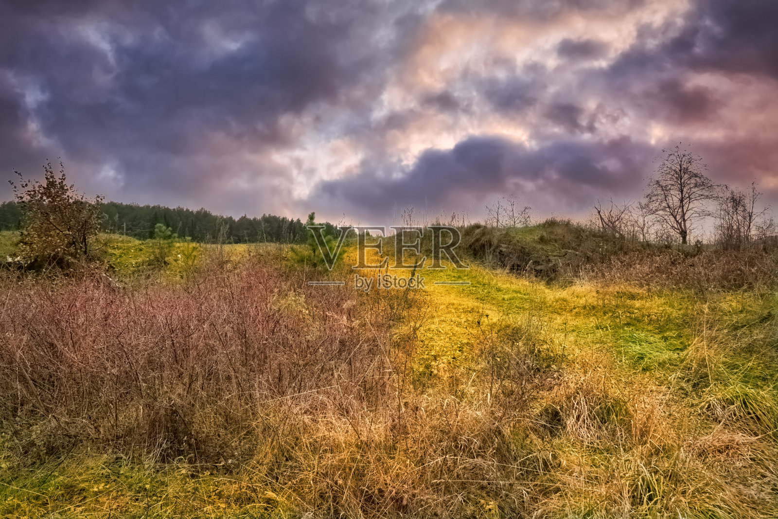 落日时分的河岸，秋色如画。奇妙的自然，美丽的自然背景。照片摄影图片