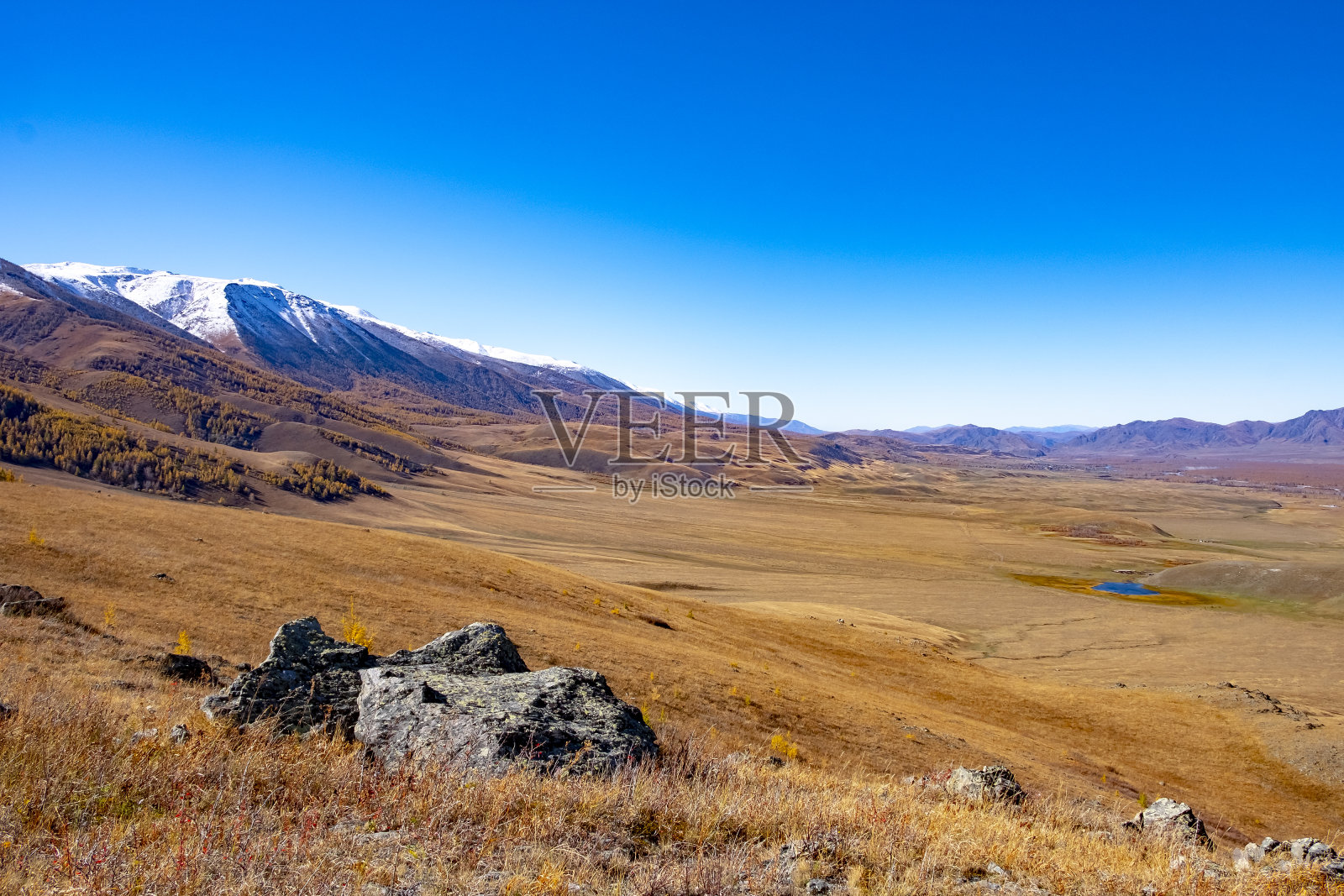 令人惊叹的景色山谷在秋天与清澈的蓝色天空。东哈萨克斯坦的自然。照片摄影图片