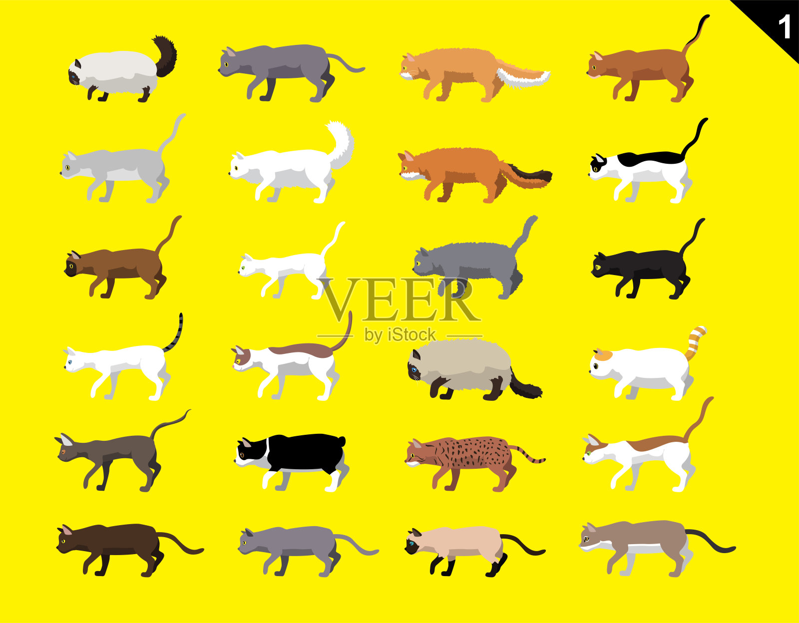 动物动画序列猫各种品种集1卡通矢量插画图片素材