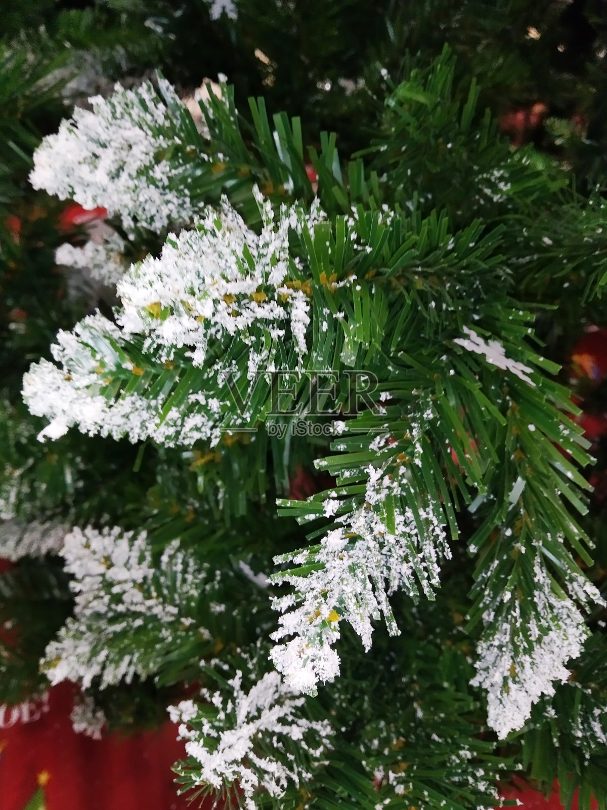 圣诞节照片摄影图片