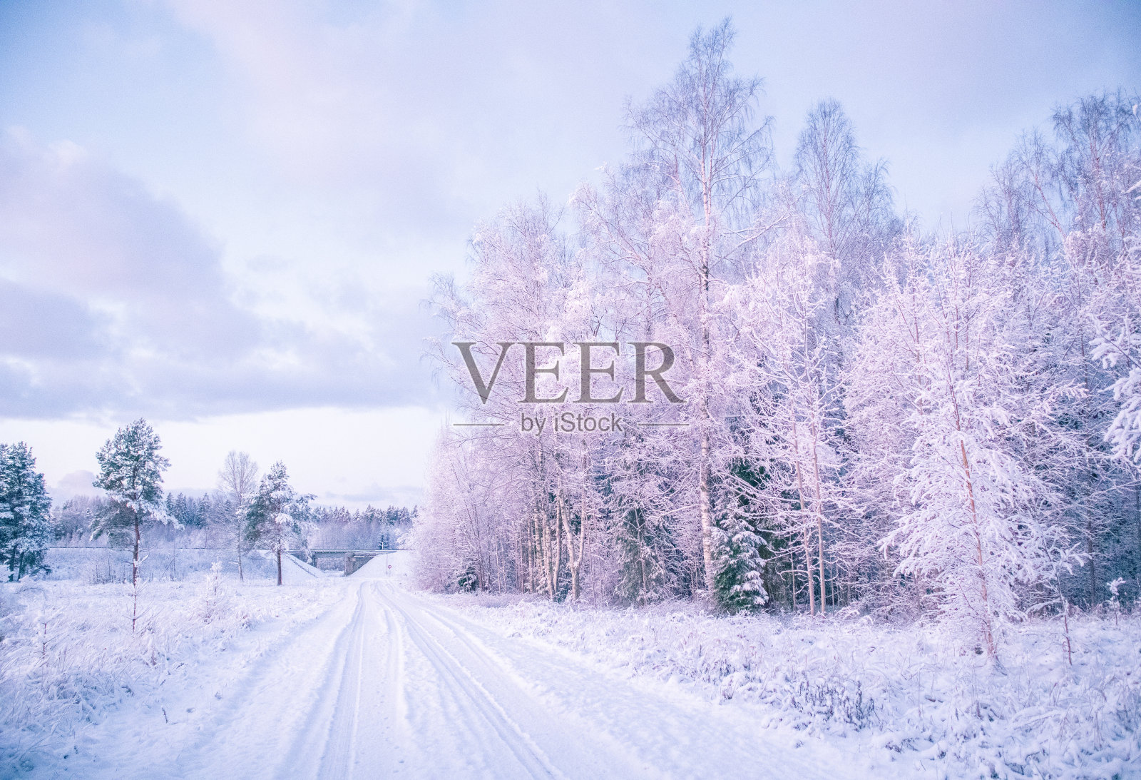 这是北欧拉脱维亚乡村地区美丽、宁静的冬季景色。照片摄影图片