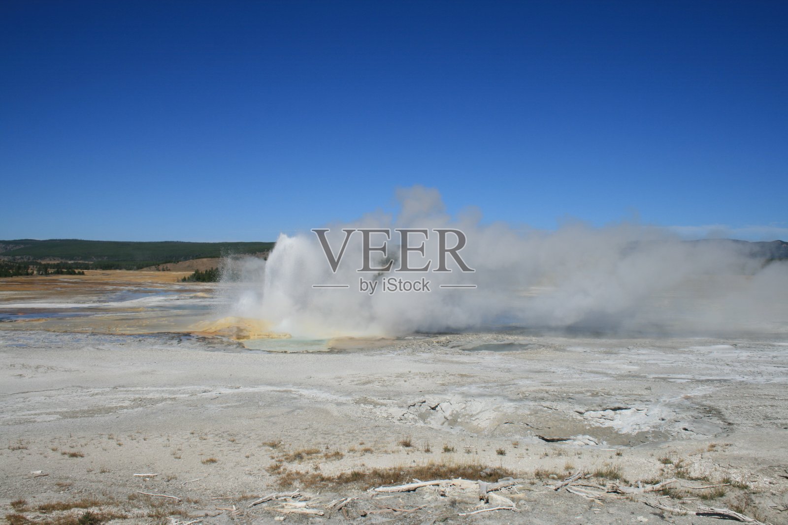 Chepsydra间歇泉，黄石国家公园，怀俄明州照片摄影图片