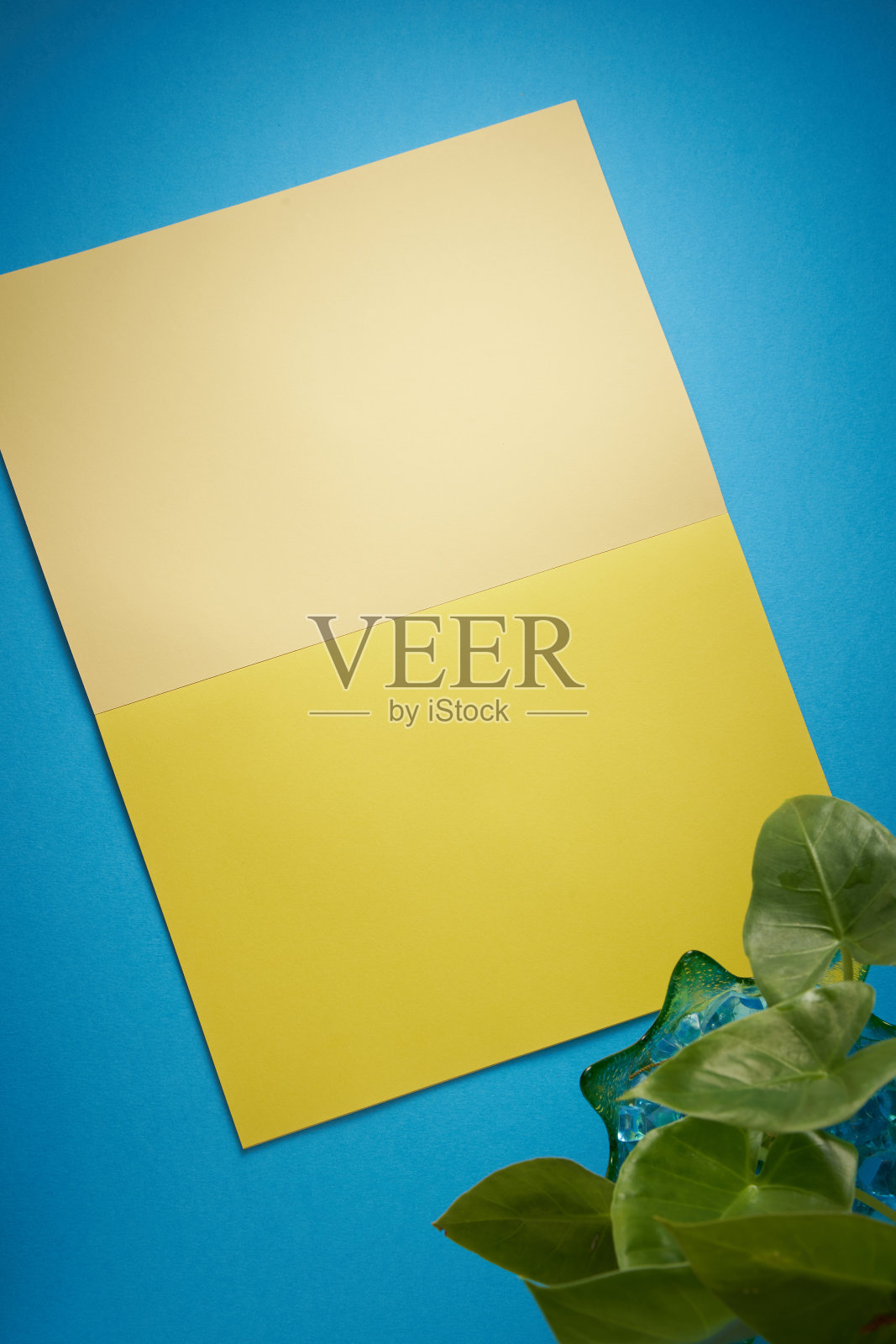 俯视图空白黄色素描本与盆栽植物照片摄影图片