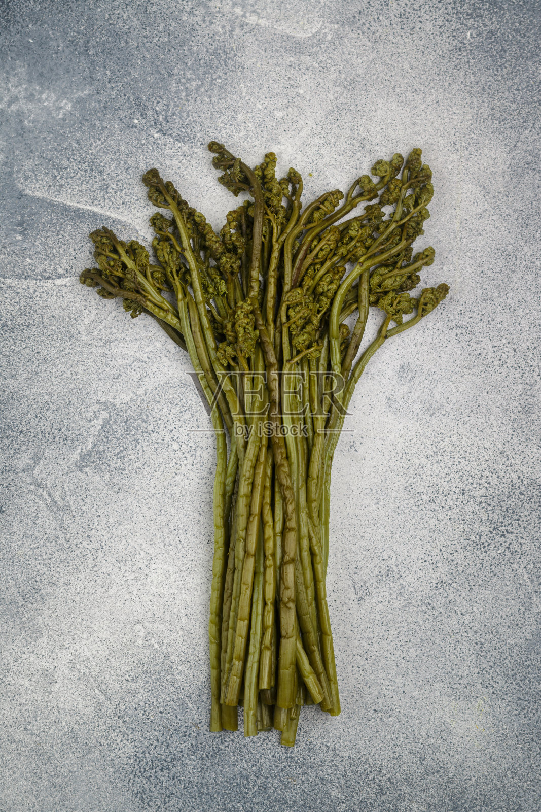 混凝土背景上的欧洲蕨类植物的盐渍芽。一种用于烹饪传统东方菜肴(韩国、日本和中国)的配料。选择性聚焦，复制空间照片摄影图片