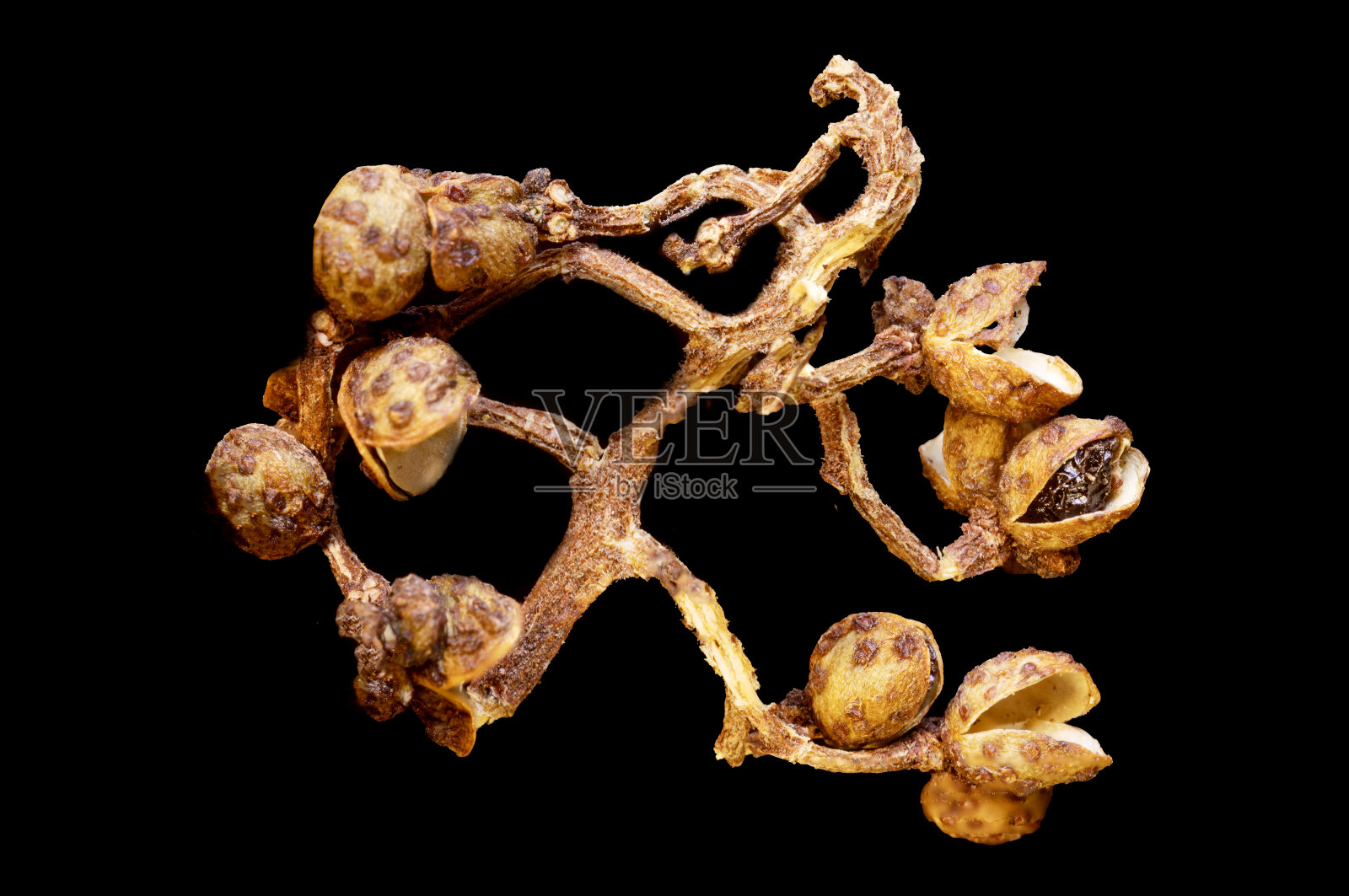 印尼野胡椒浆果壳照片摄影图片