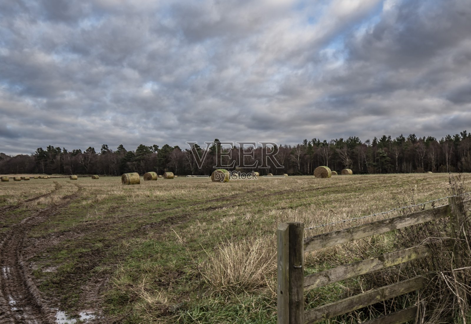 Timpendean的干草包。照片摄影图片