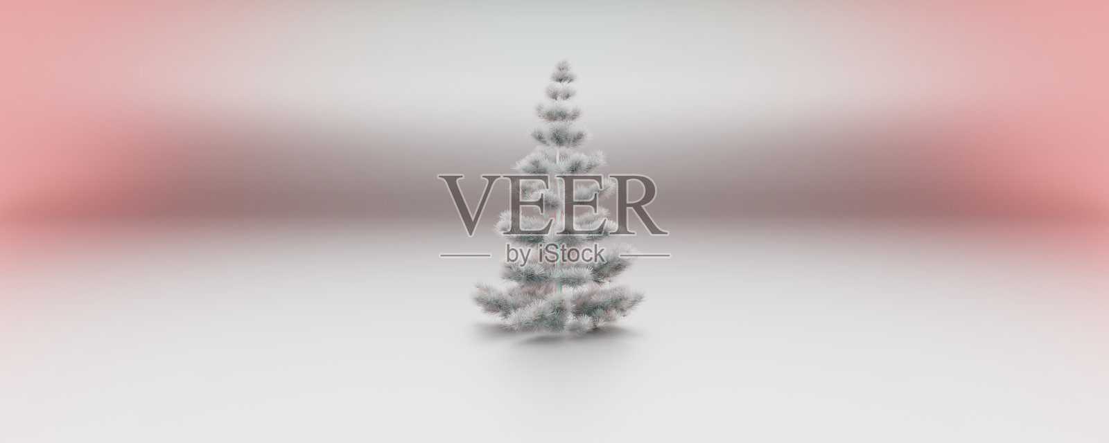 极简色彩粉彩银色背景粉红色阴影全景与松树圣诞树在框架的中心，圣诞礼物卡照片摄影图片