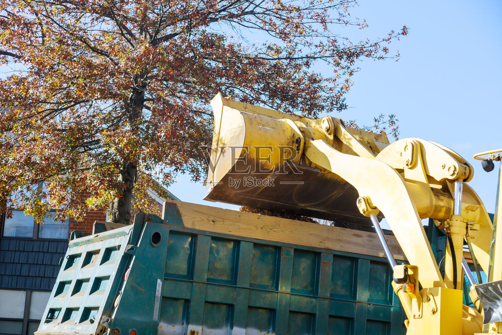 定期季节性改善公共场所的工作，城市队用挖掘机和卡车清除落叶照片摄影图片