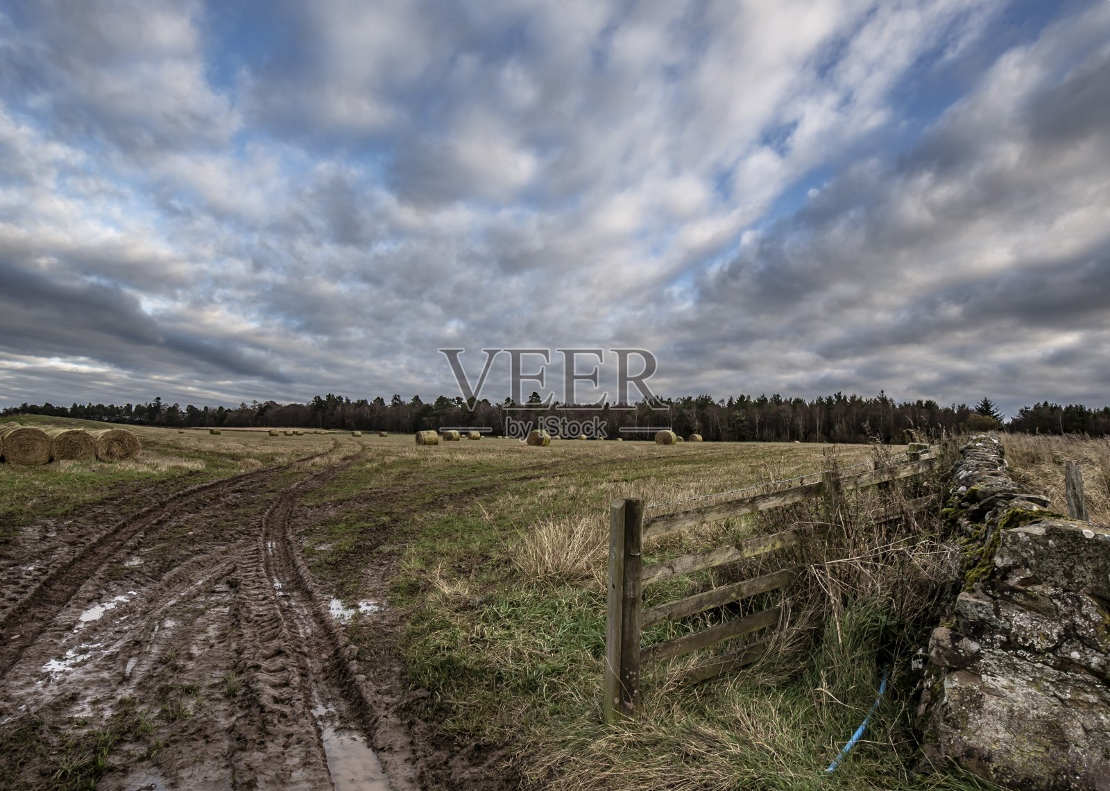 Timpendean的农村。照片摄影图片