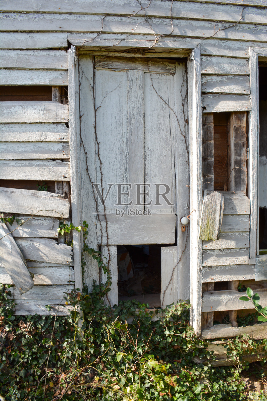 古老的木门照片摄影图片