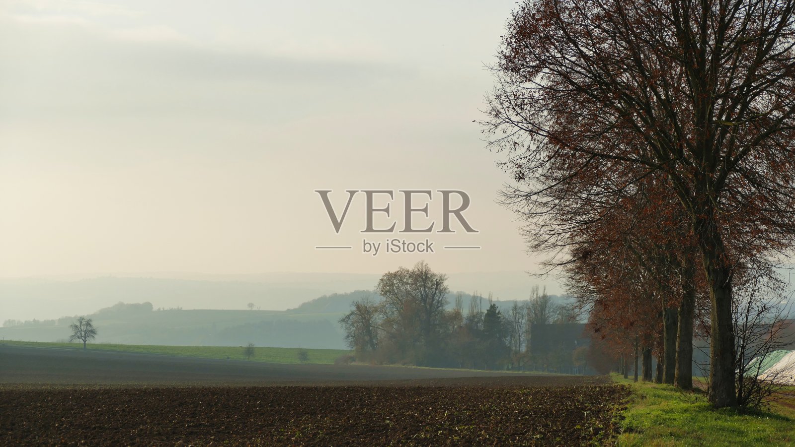 田野上的秋日午后照片摄影图片