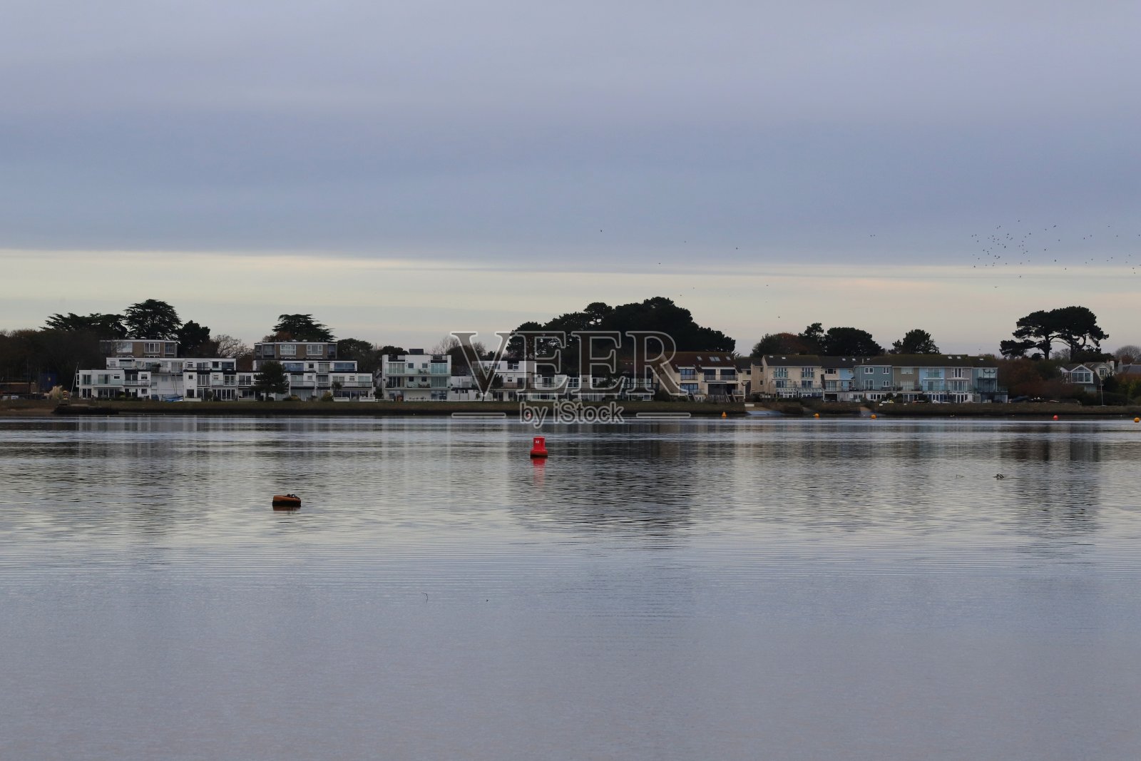 邻居反映照片摄影图片