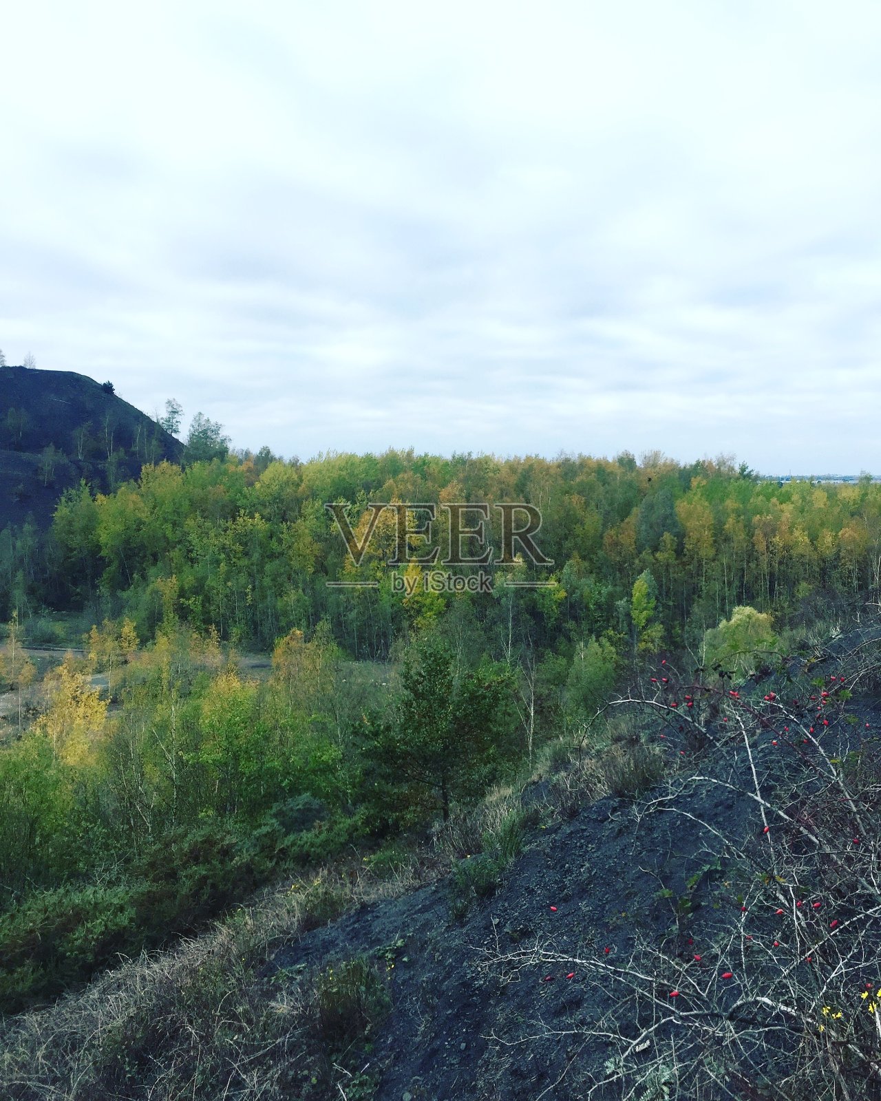 视野照片摄影图片