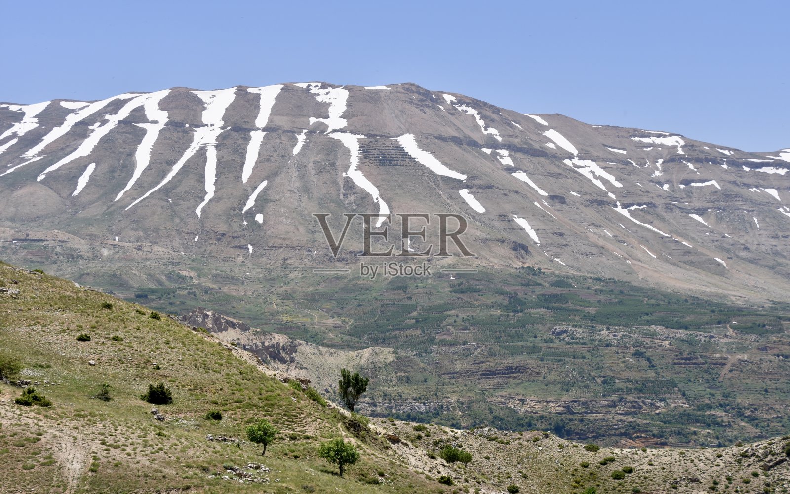 夏季雪山山谷风光照片摄影图片