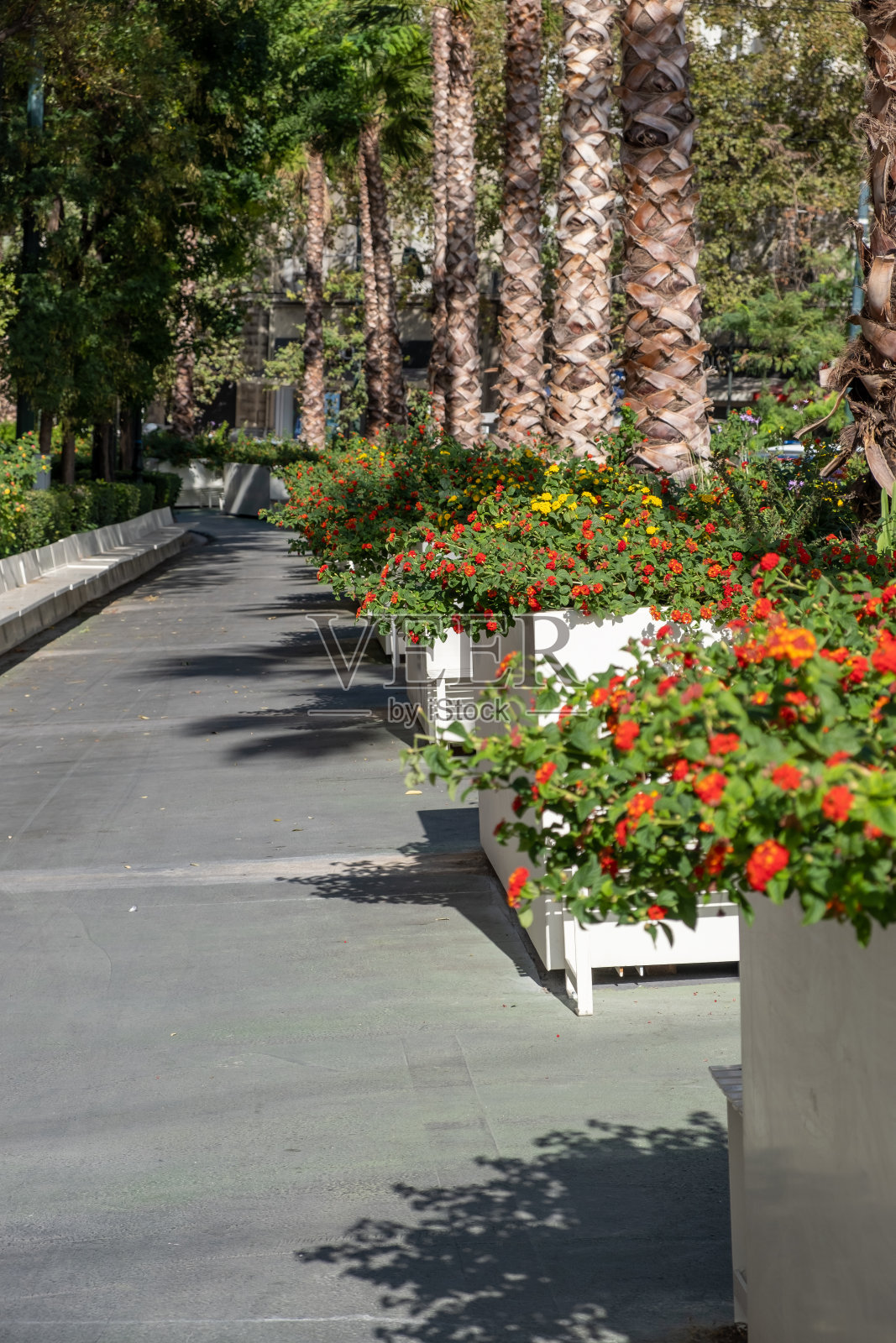 希腊雅典。伟大的走。Panepistimiou街，靠近宪法广场。照片摄影图片