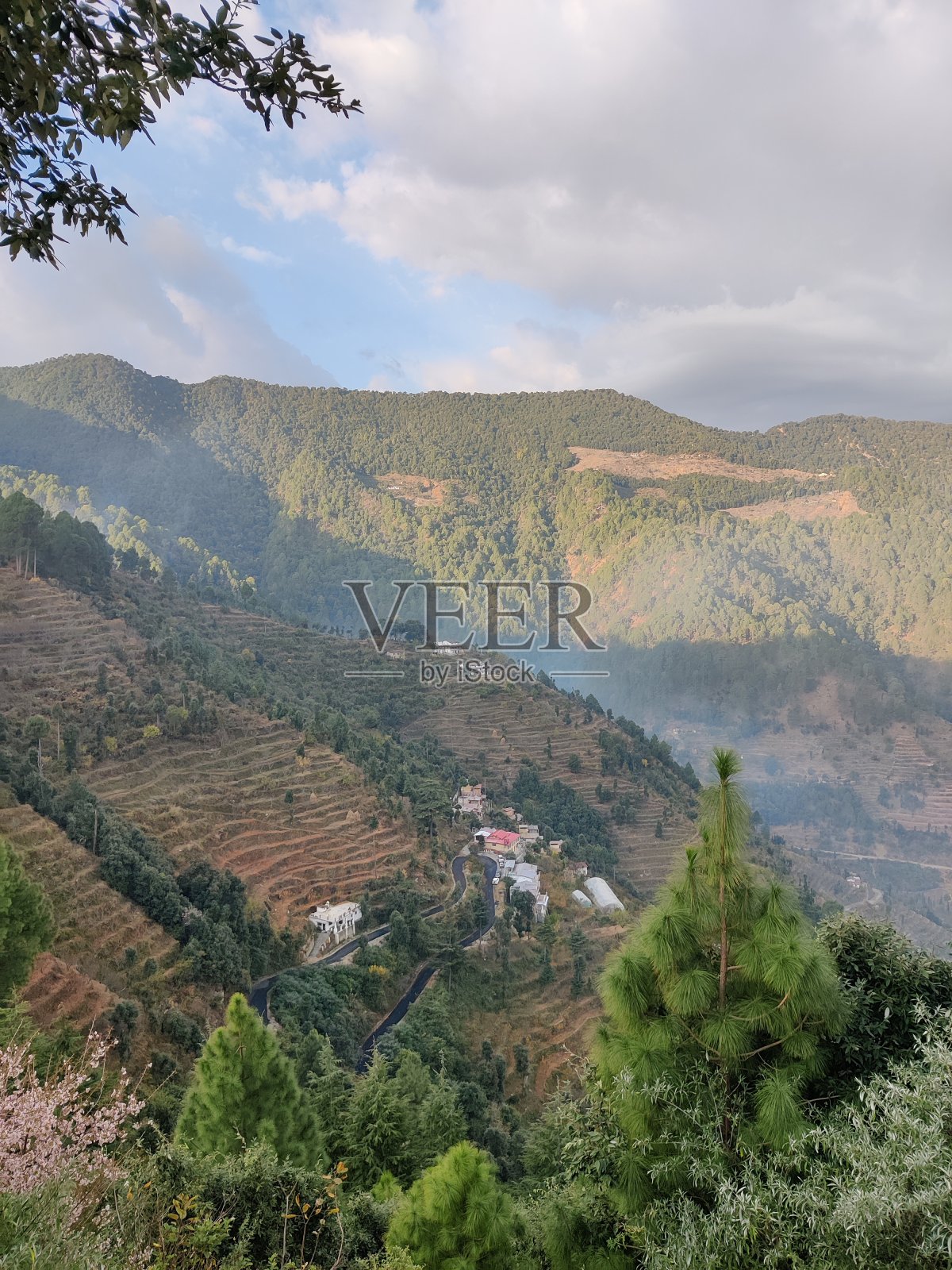 风景园林照片摄影图片