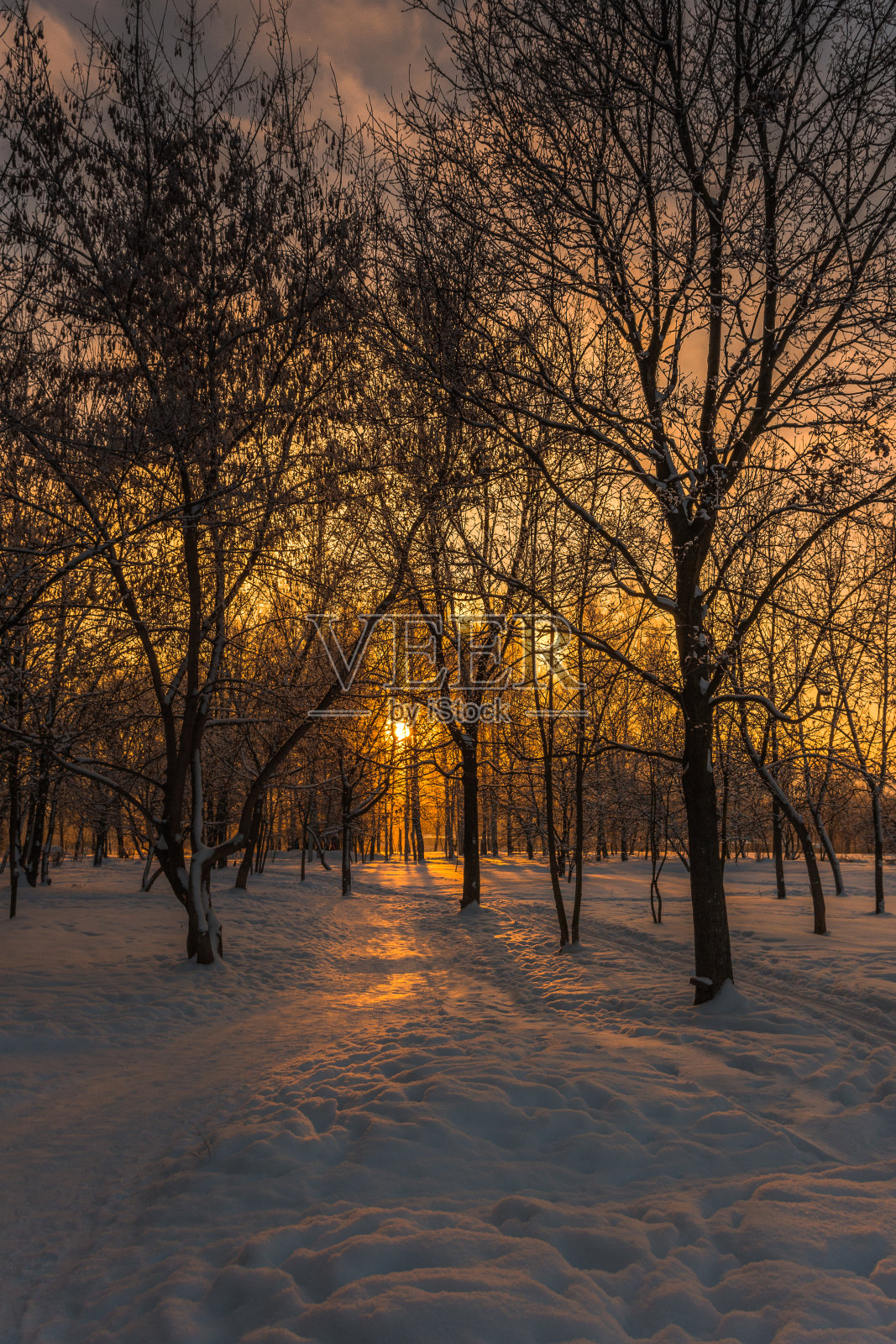 冬天照片摄影图片