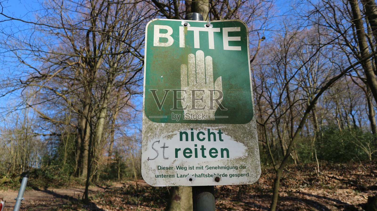 晴天远足照片摄影图片