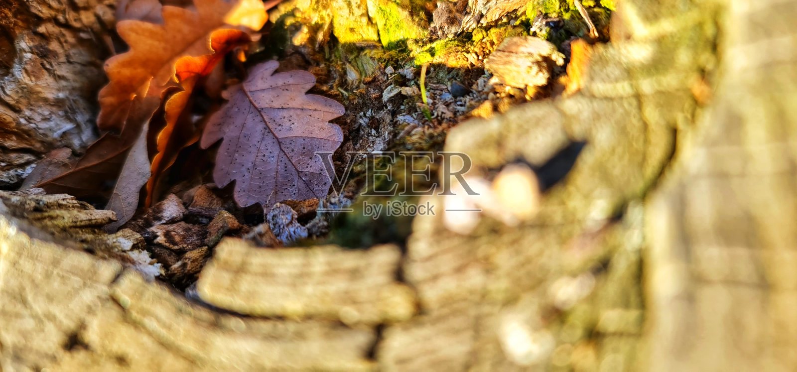 在我家乡附近的湖边照片摄影图片