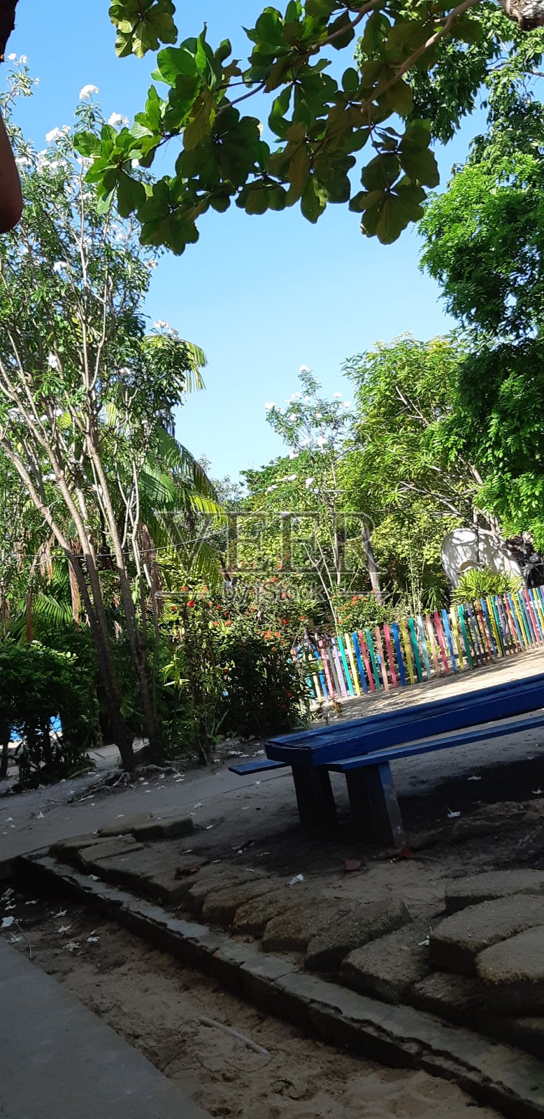 天然美女照片摄影图片