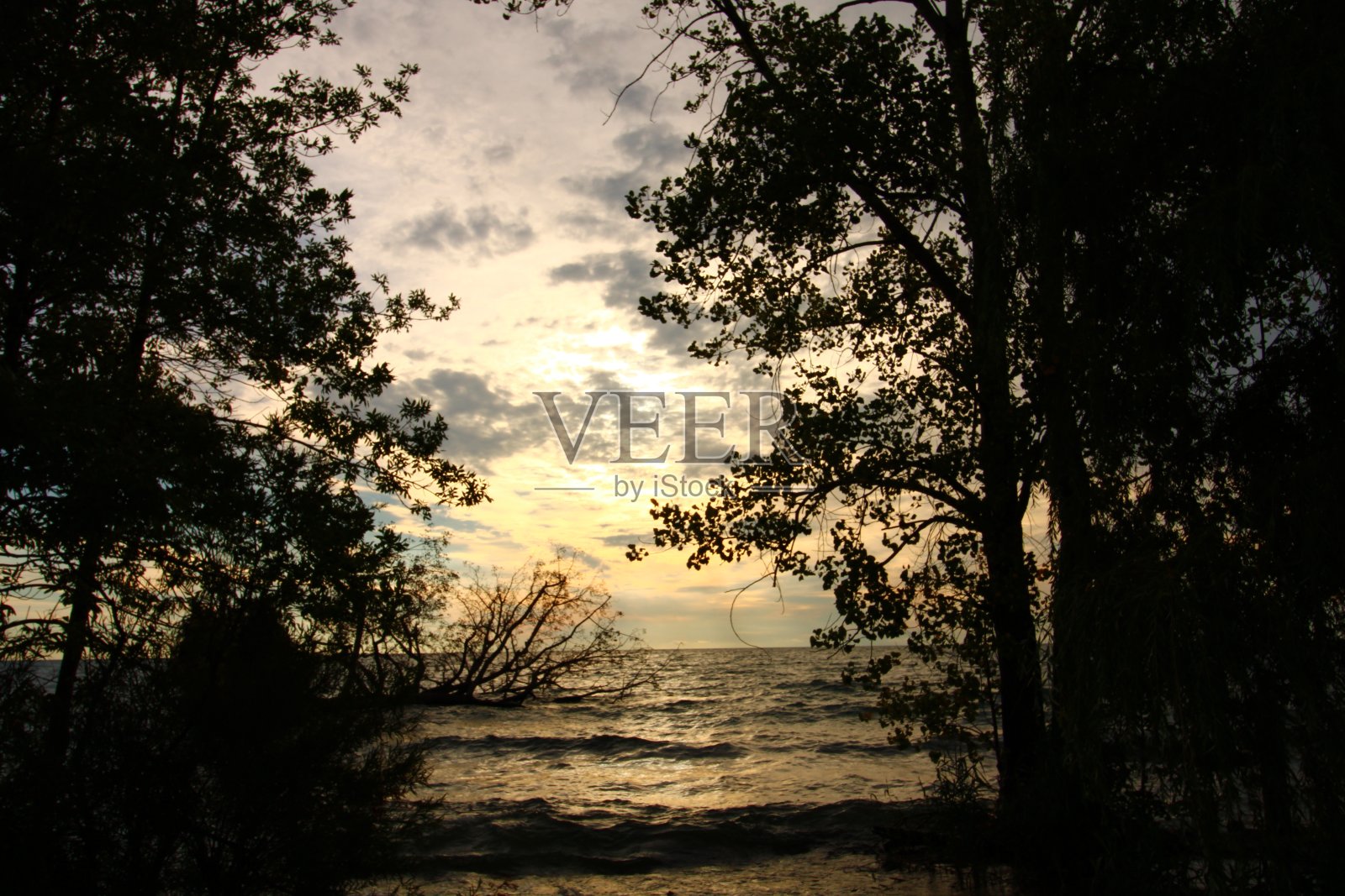 晨光照片摄影图片