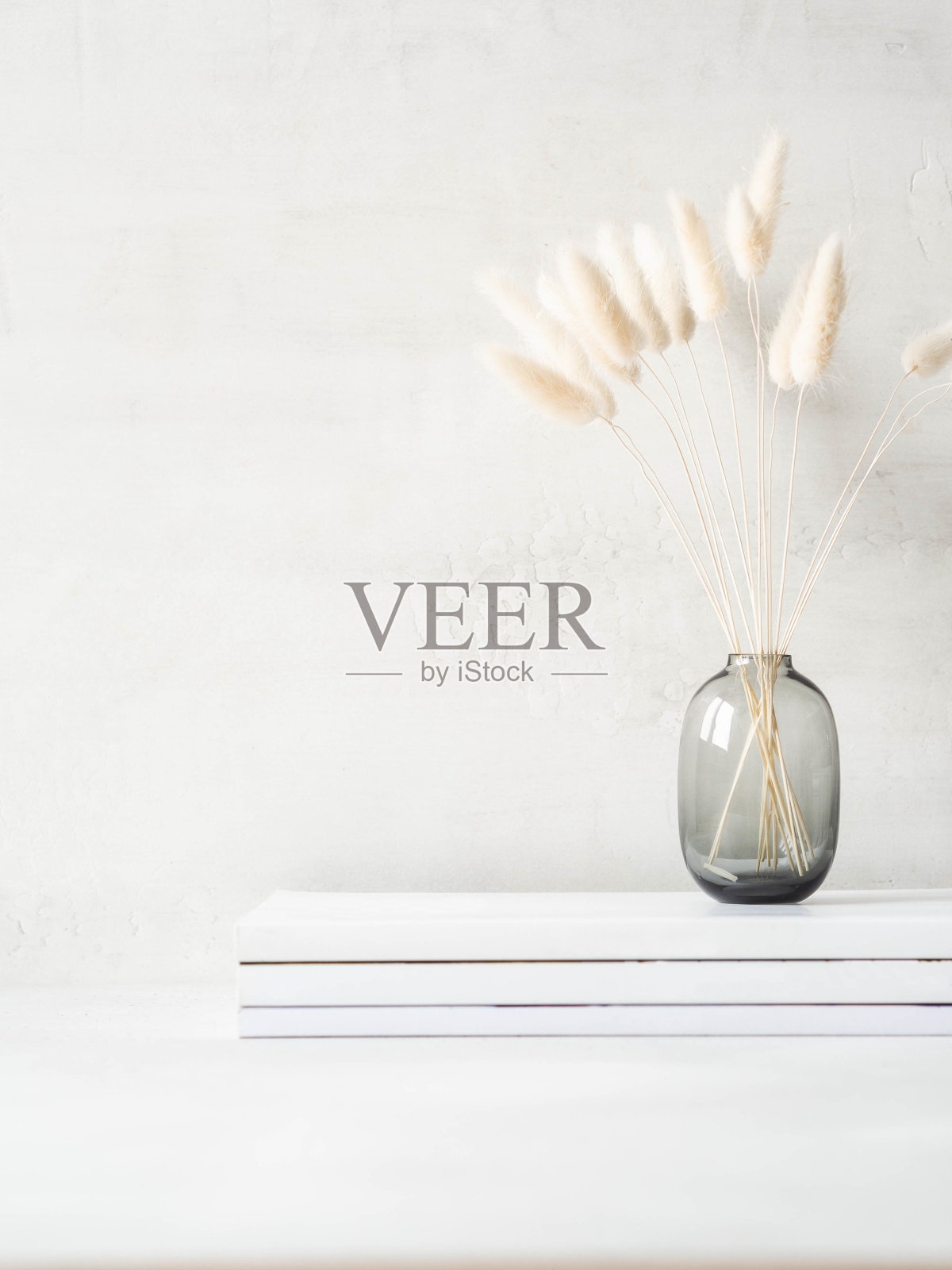 杂志堆上的玻璃花瓶里的白色干燥拉格鲁花的静物画照片摄影图片