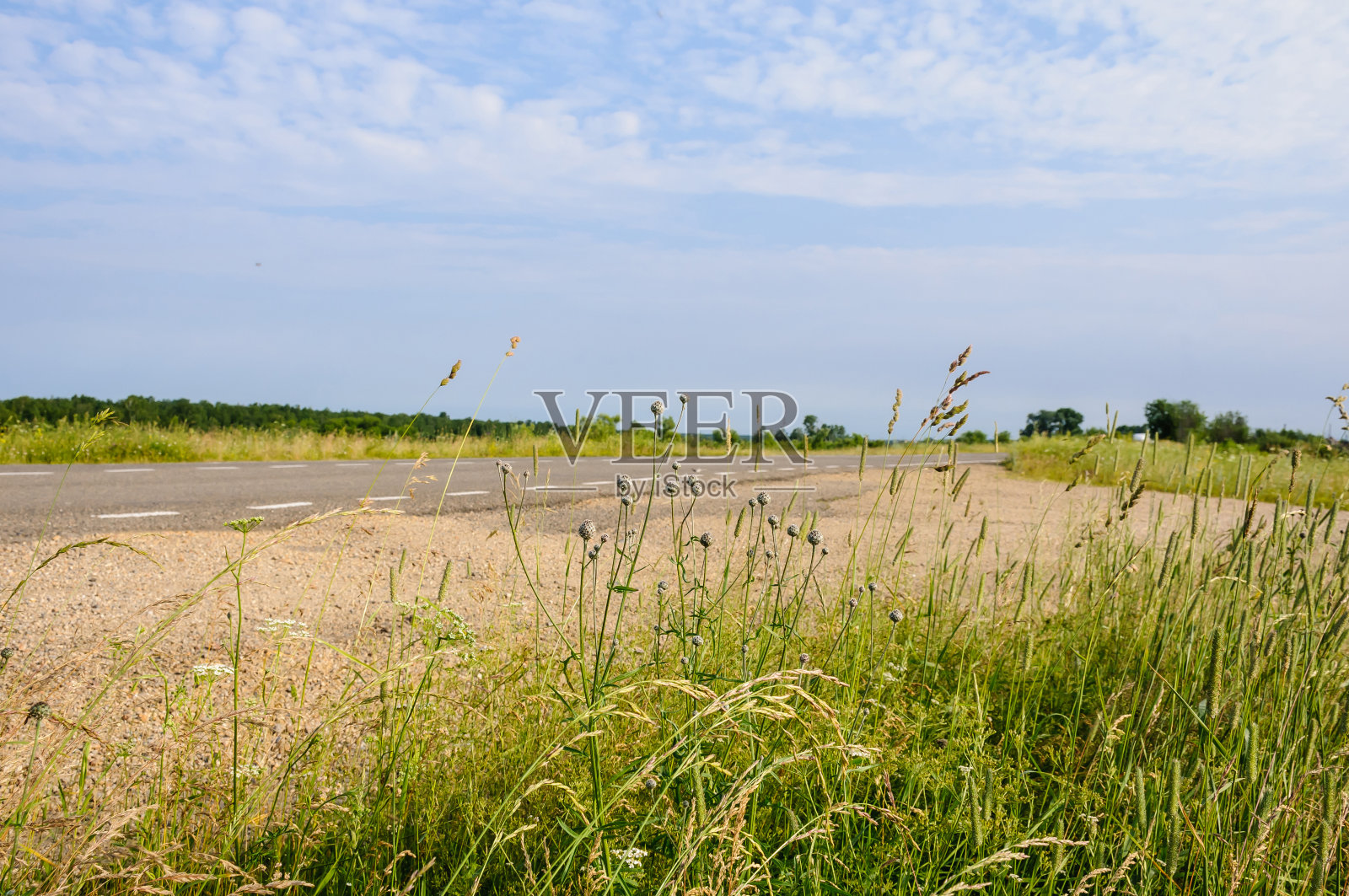 在空旷的乡村道路的背景下，各种各样的田野草照片摄影图片