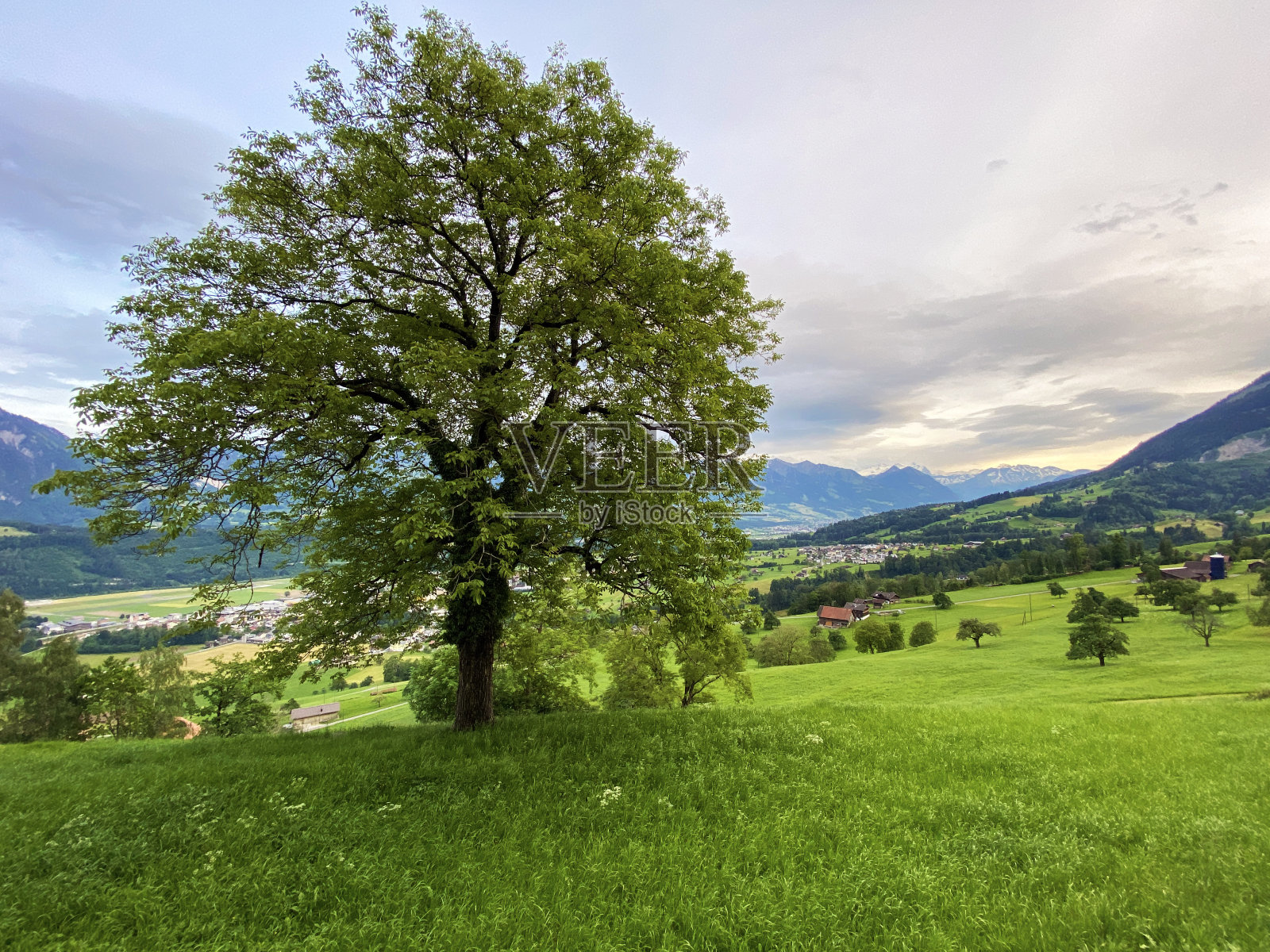 瑞士奥瓦尔登州Alpnach的皮拉图斯山坡上的高山牧场和草原以及山脚下的高山山谷。照片摄影图片