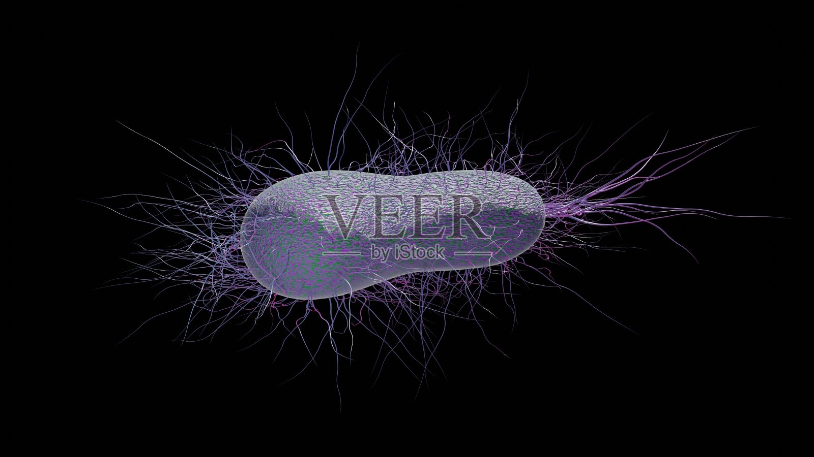 细菌照片摄影图片