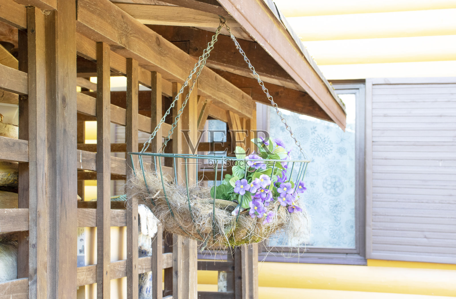 桦木堆用来烧柴照片摄影图片