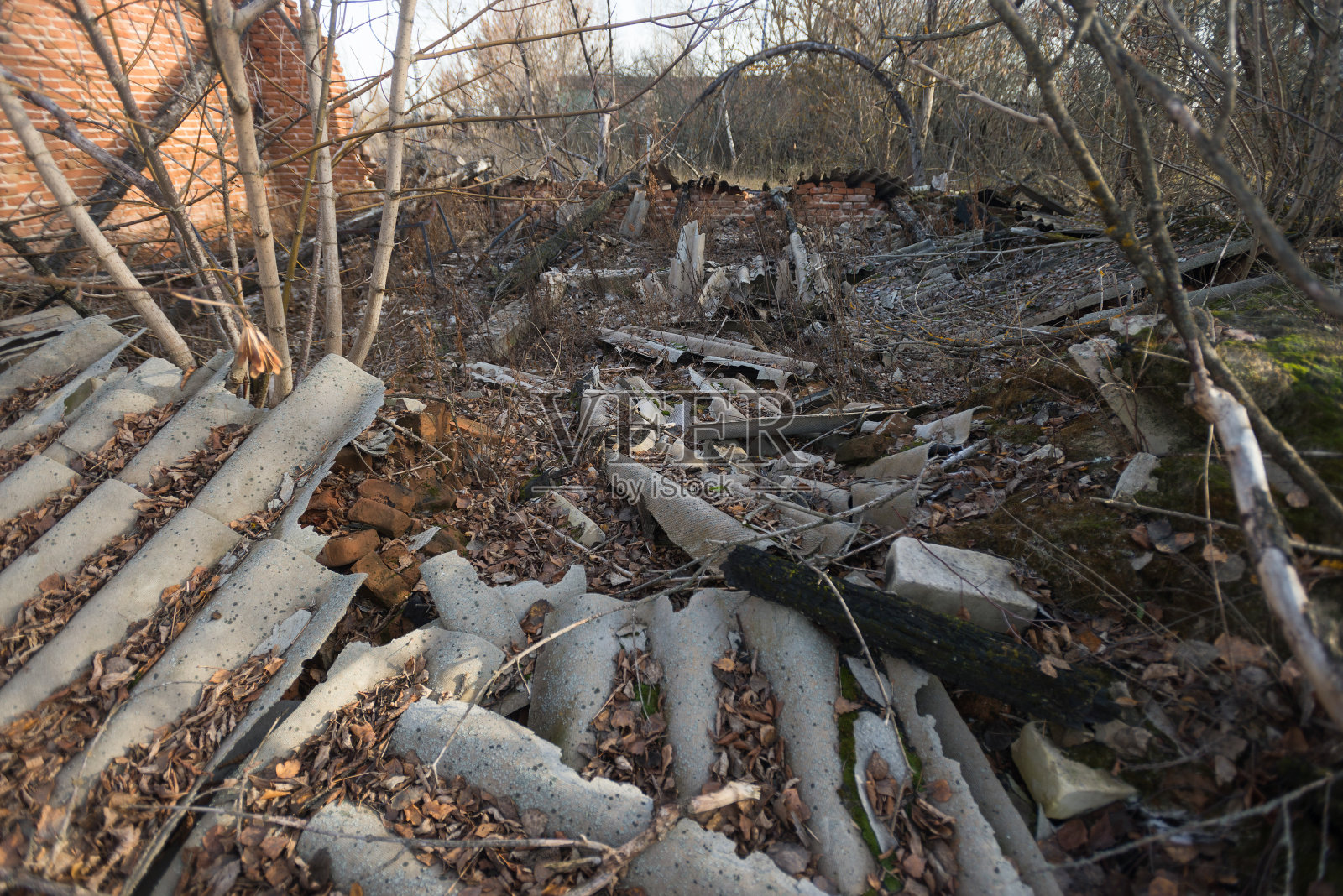 切尔诺贝利地区被烧毁的村庄照片摄影图片