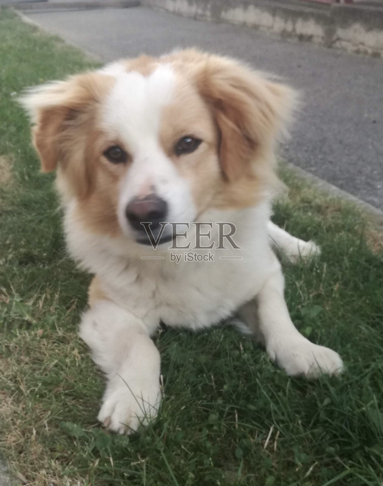 放松照片摄影图片