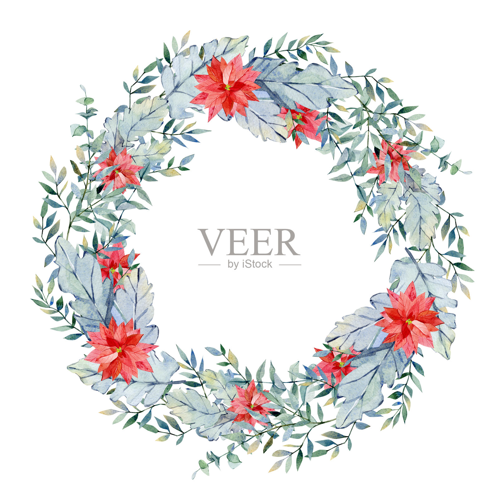 水彩圣诞花环与蓝色的树枝，一品红，野生花。冬季绿叶框架，常青树插图为贺卡，圣诞贺卡，inwintation卡。插画图片素材
