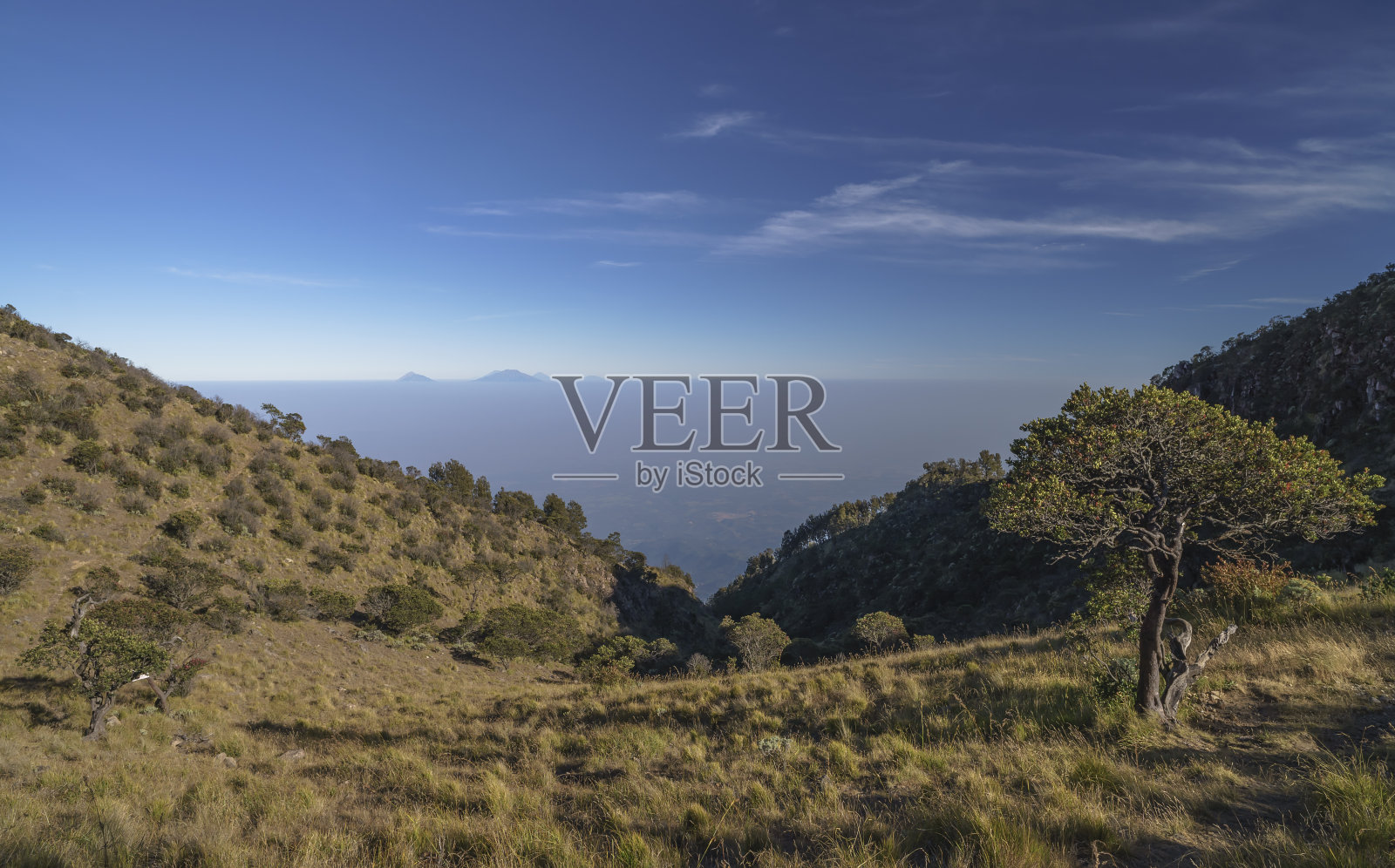 在印尼爪哇岛的清晨，许多其他的火山透过峡谷看到峡谷照片摄影图片