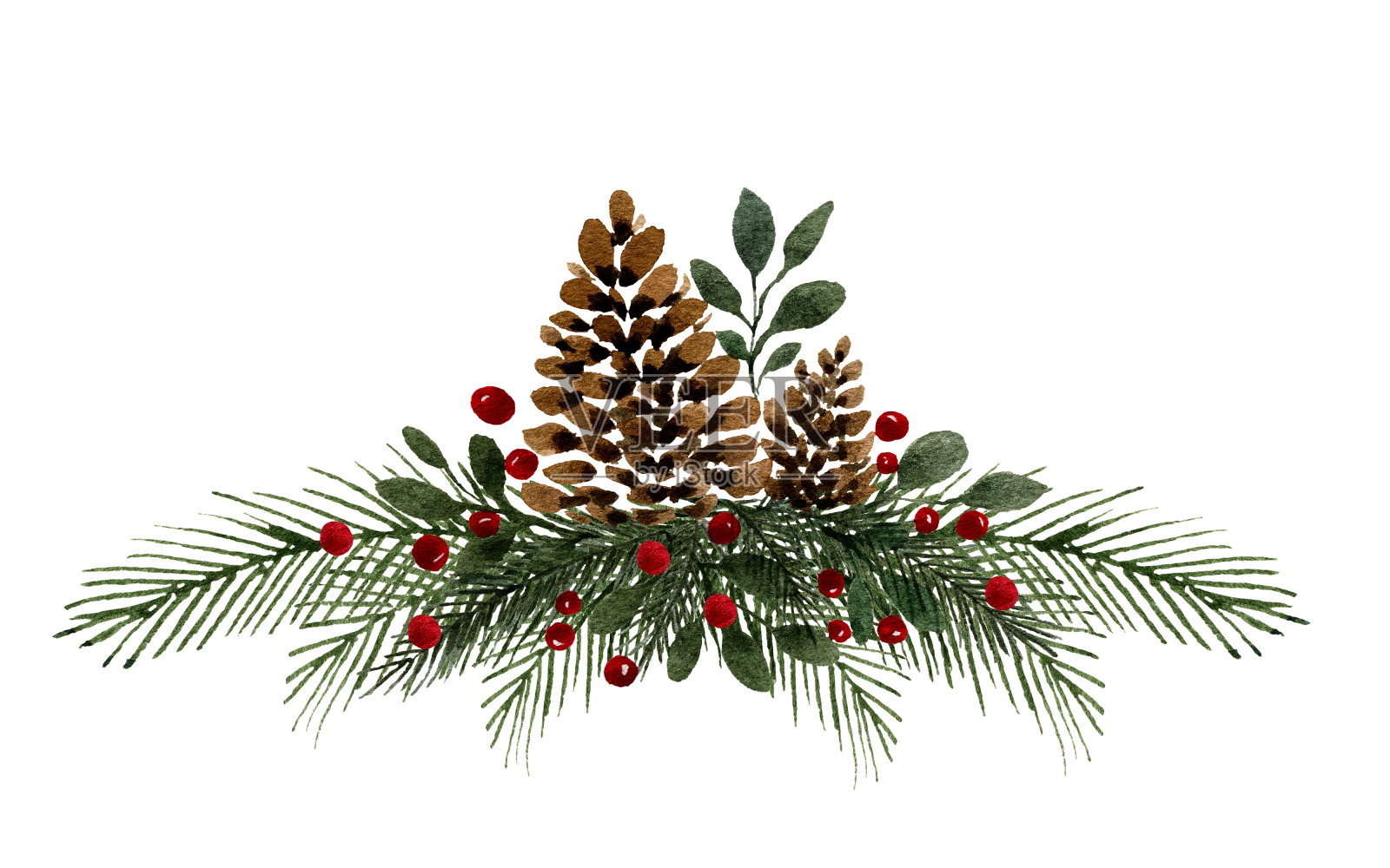 水彩松果装饰圣诞节，优雅的圣诞插画松果，冷杉树枝和浆果孤立在白色插画图片素材