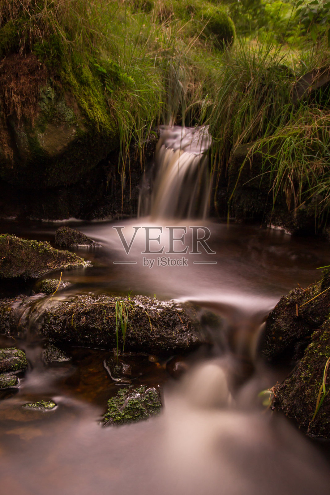 兰开夏郡pendle山上的小瀑布。蕨叶间平滑流动的水照片摄影图片