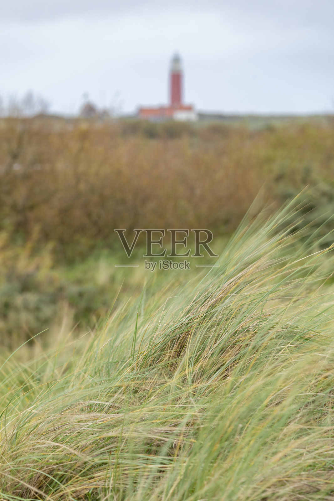 灯塔荷兰景观照片摄影图片