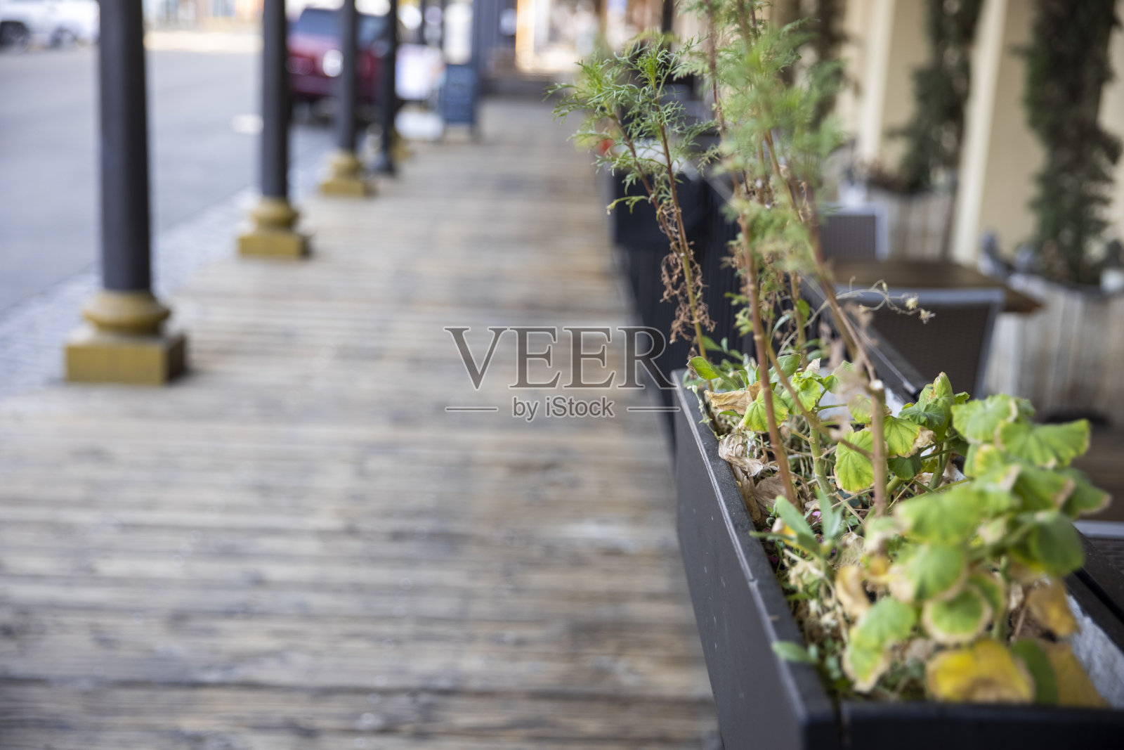 老国王照片摄影图片